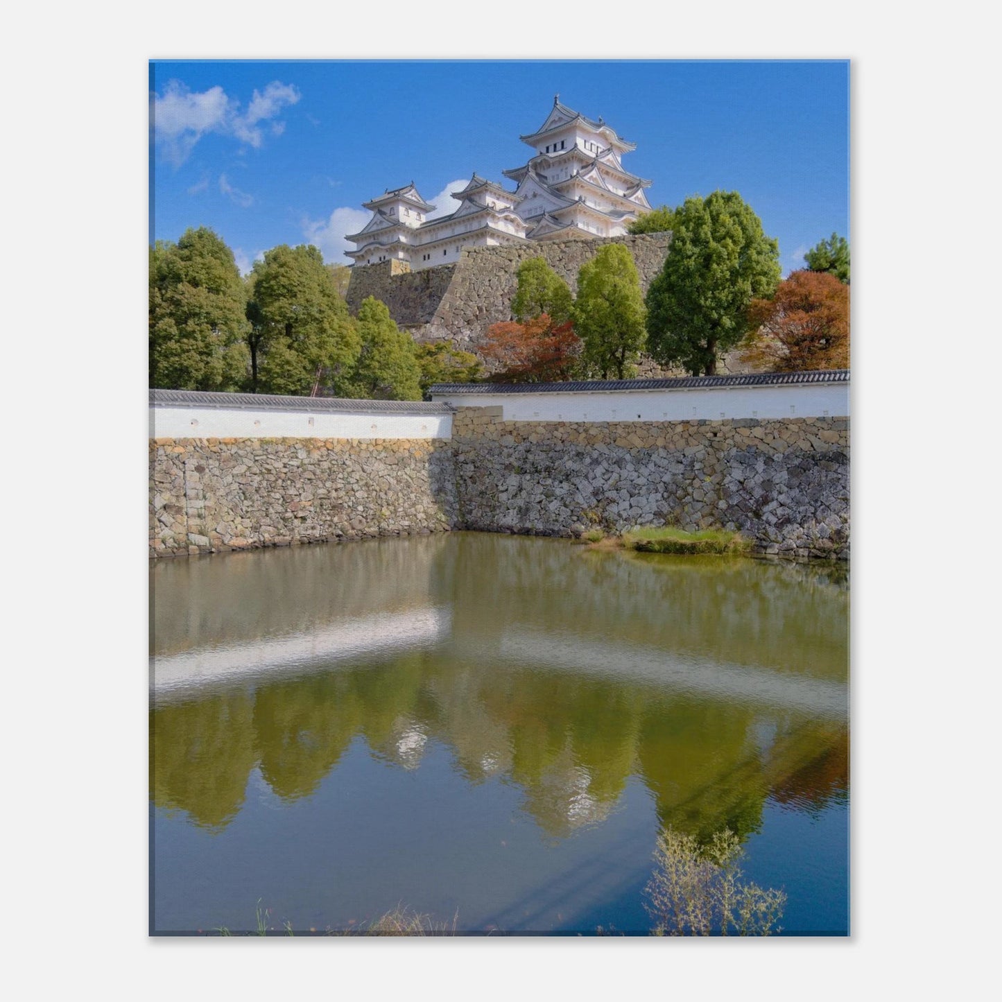 58ef163e-7d63-486d-bc68-20fd6dc213da