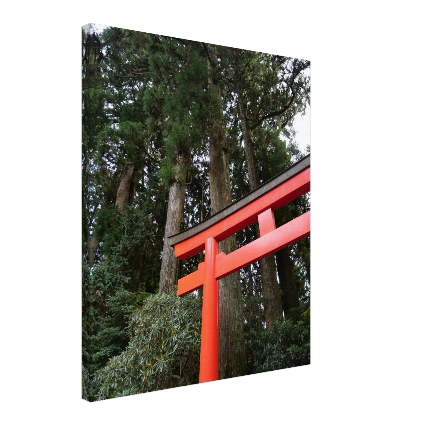 01a7d1a6-b1fa-434a-995e-b96cf6c4c021