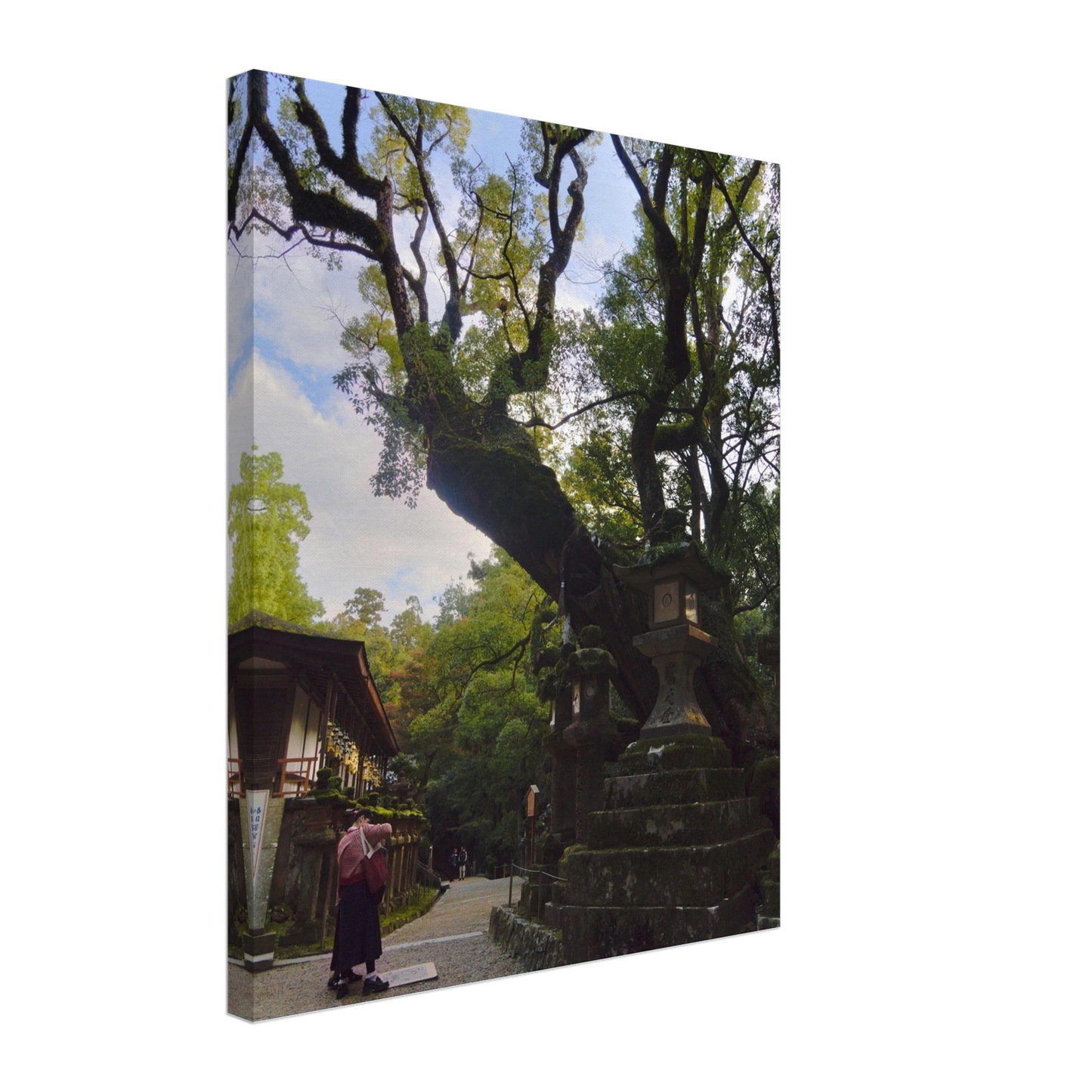 089a20b8-c2af-40f0-890d-184927081da4