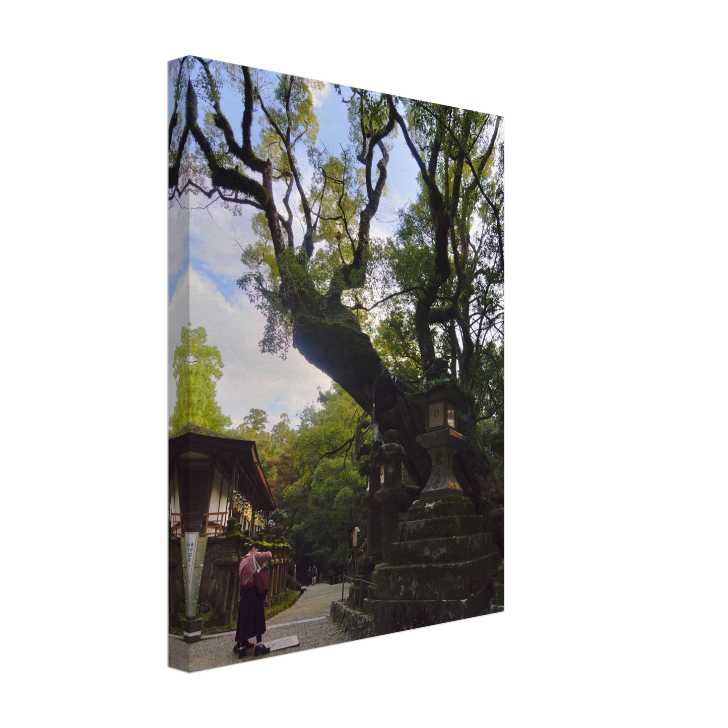 0ca69b5c-8a57-4c7b-a754-207492351943