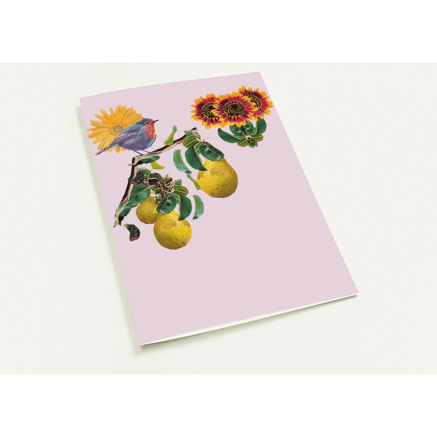 robin-pear-sunflower-themed-greeting-cards-pack-of-10-premium-folded-cards - front view