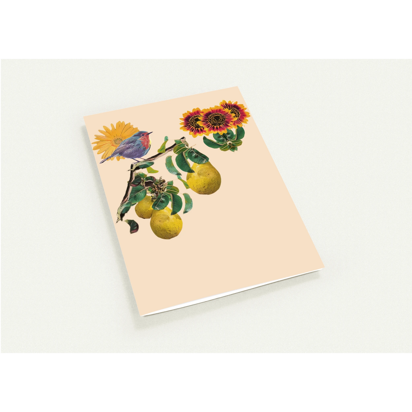 robin-pear-sunflower-themed-greeting-cards-pack-of-10-premium-folded-cards - front view