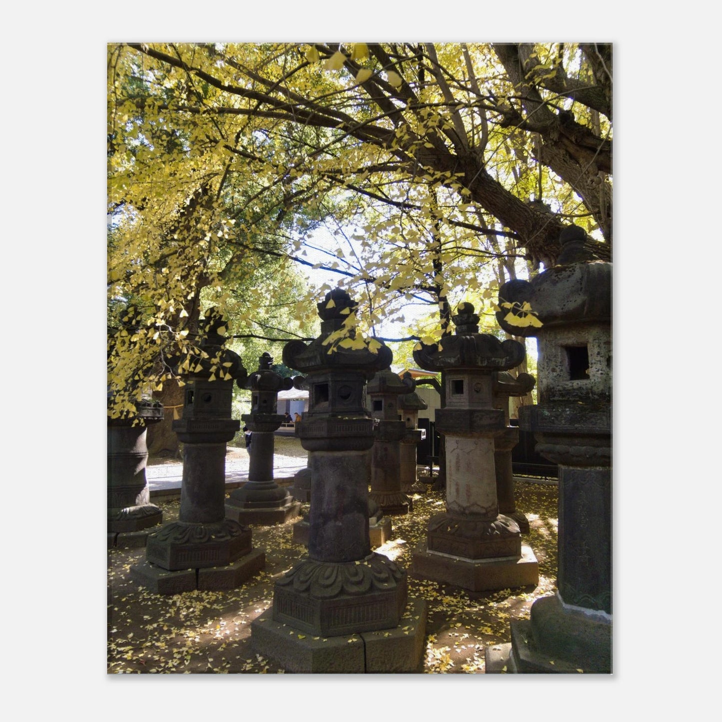 0e7e2f76-c450-4fd0-992e-f3a92483647c