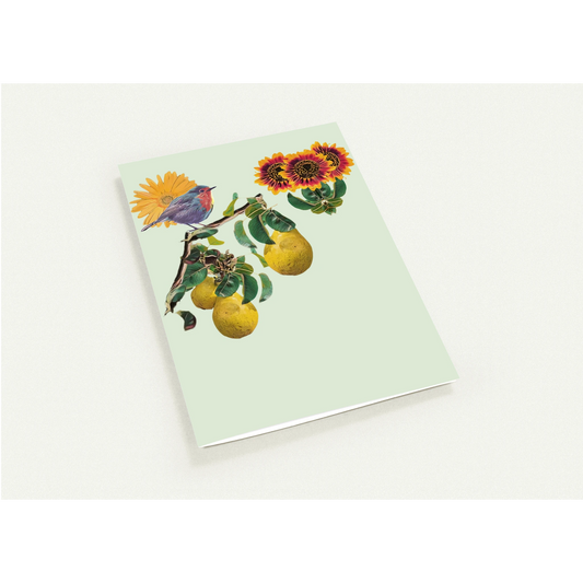 robin-pear-sunflower-themed-greeting-cards-pack-of-10-premium-folded-cards - front view