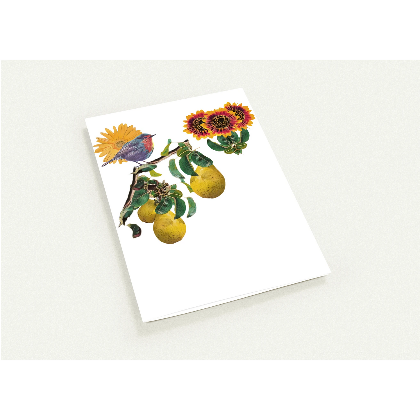 robin-pear-sunflower-themed-greeting-cards-pack-of-10-premium-folded-cards - front view