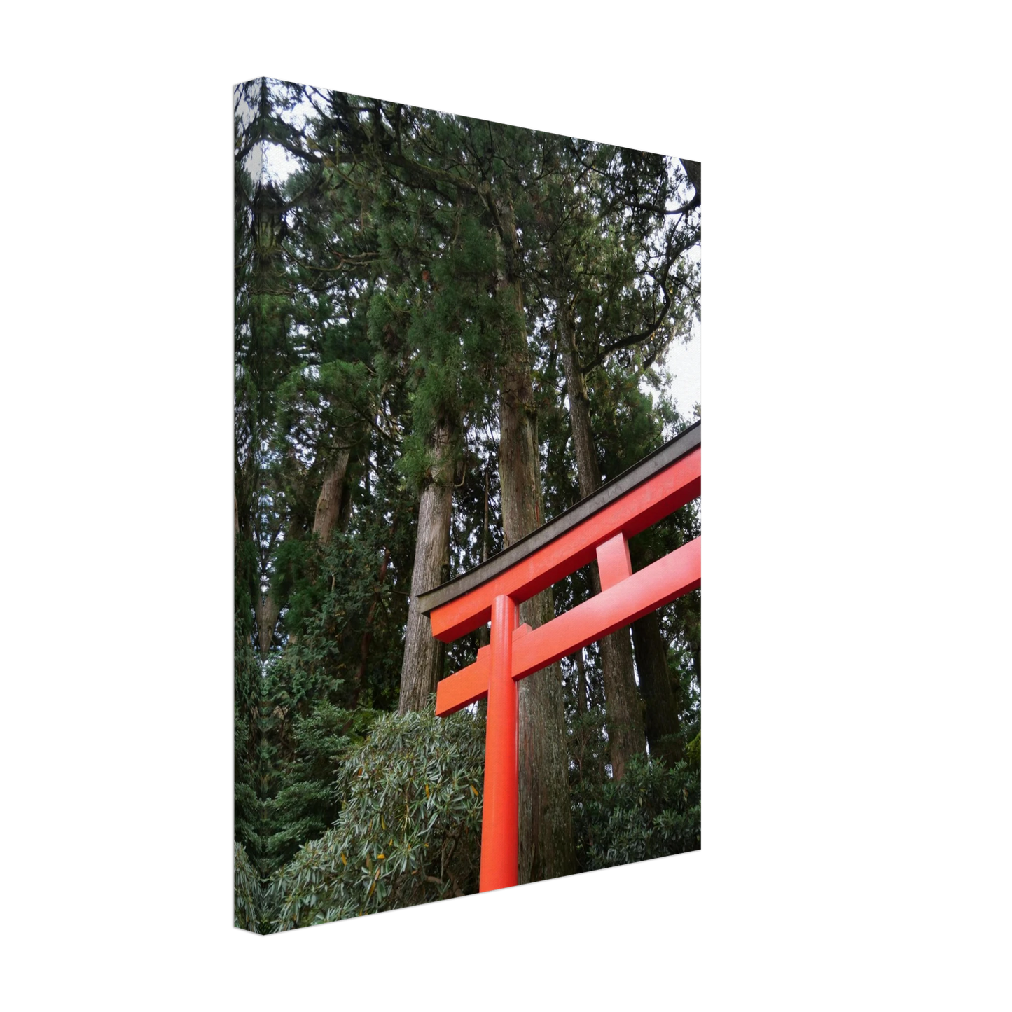 18ea0a98-471a-48a2-927c-91de99891037