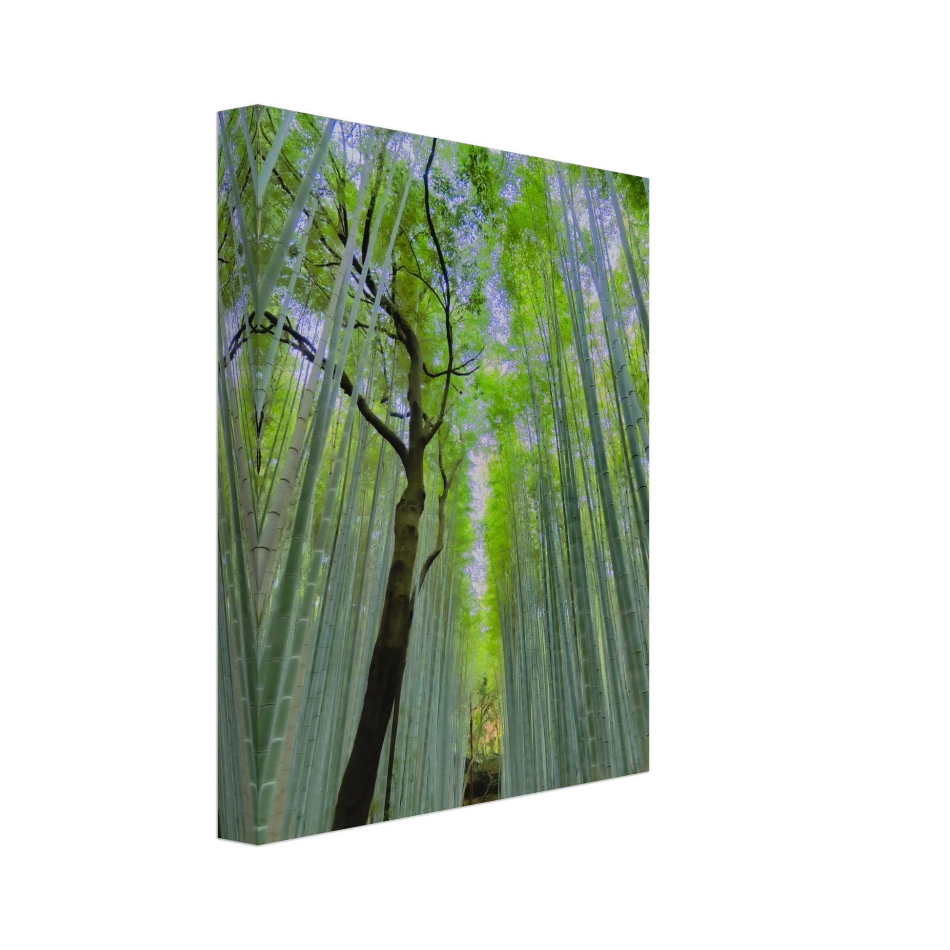 1ce24e69-def5-46ce-aed2-7487e22fd7ff