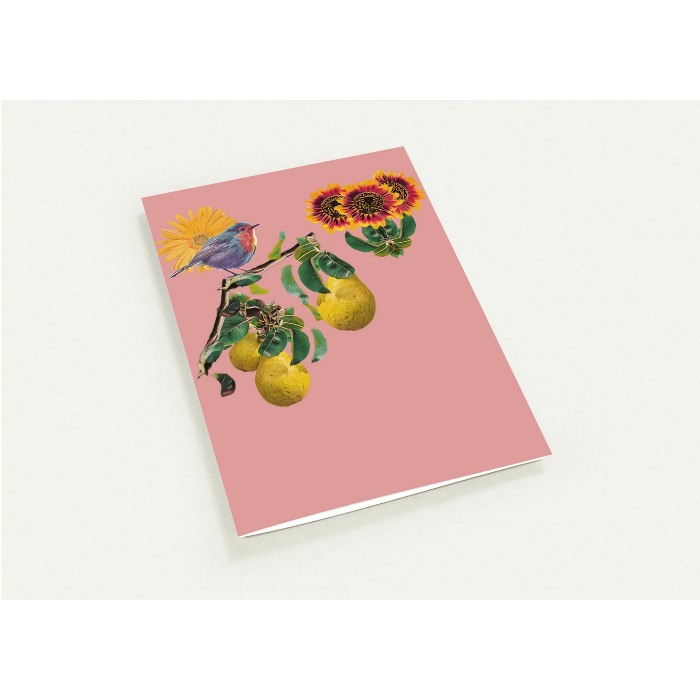 robin-pear-sunflower-themed-greeting-cards-pack-of-10-premium-folded-cards - front view