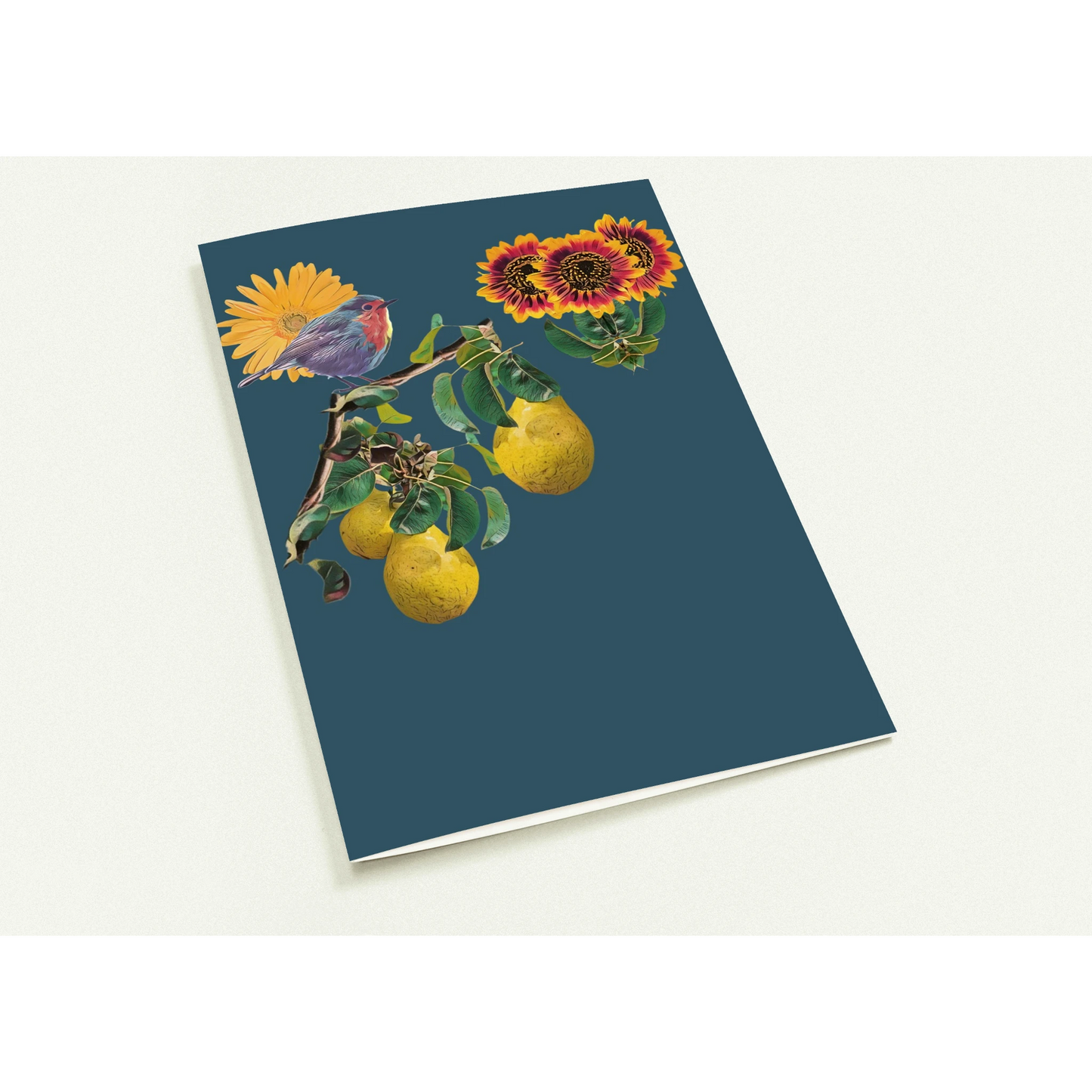 robin-pear-sunflower-themed-greeting-cards-pack-of-10-premium-folded-cards - front view