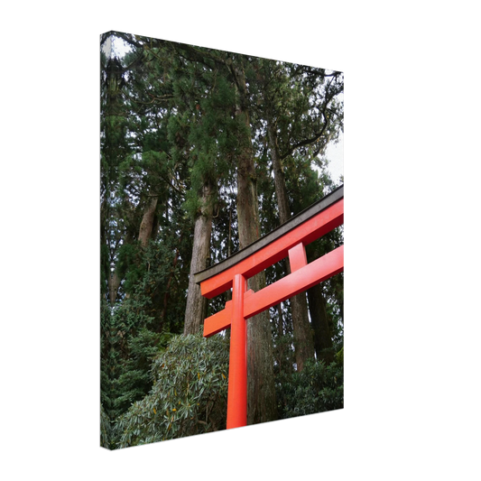 25c8a4ae-3f3c-48f4-a5f5-adc86169f66c