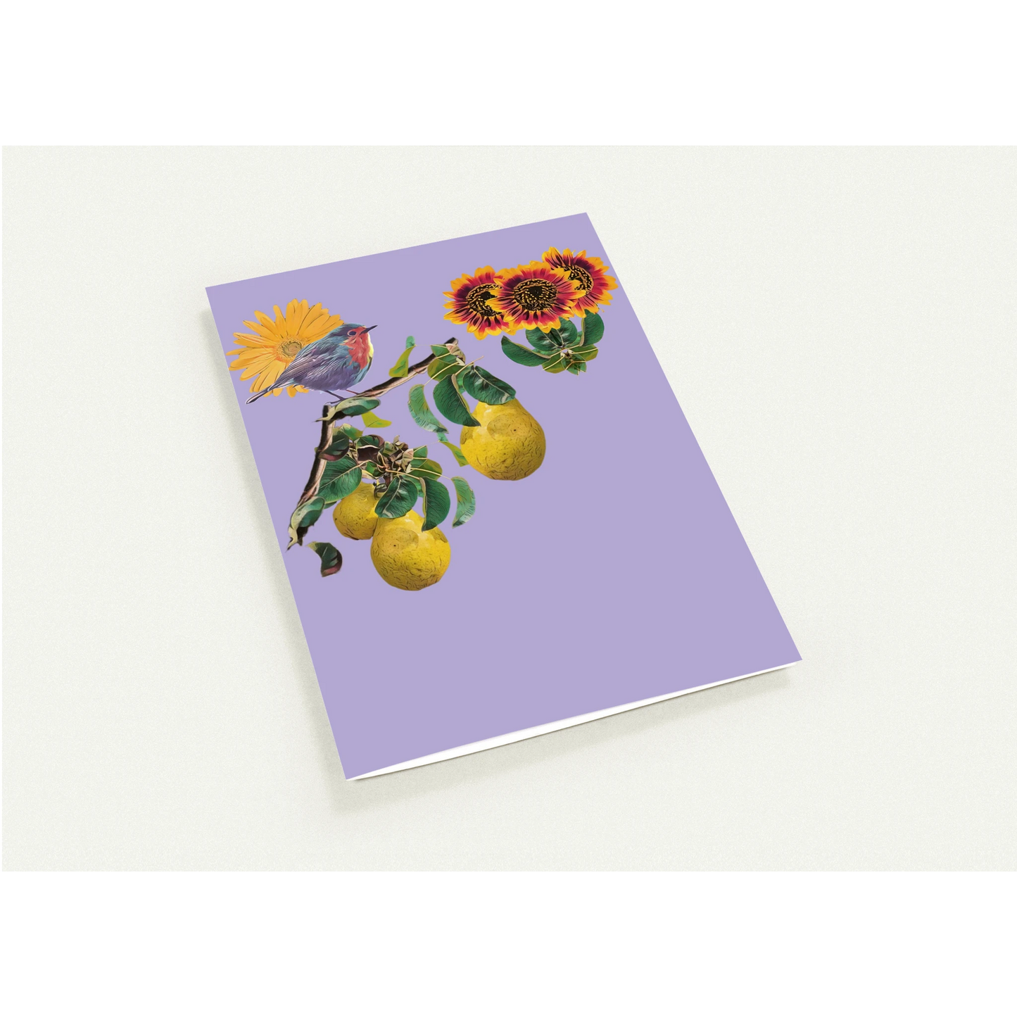robin-pear-sunflower-themed-greeting-cards-pack-of-10-premium-folded-cards - front view