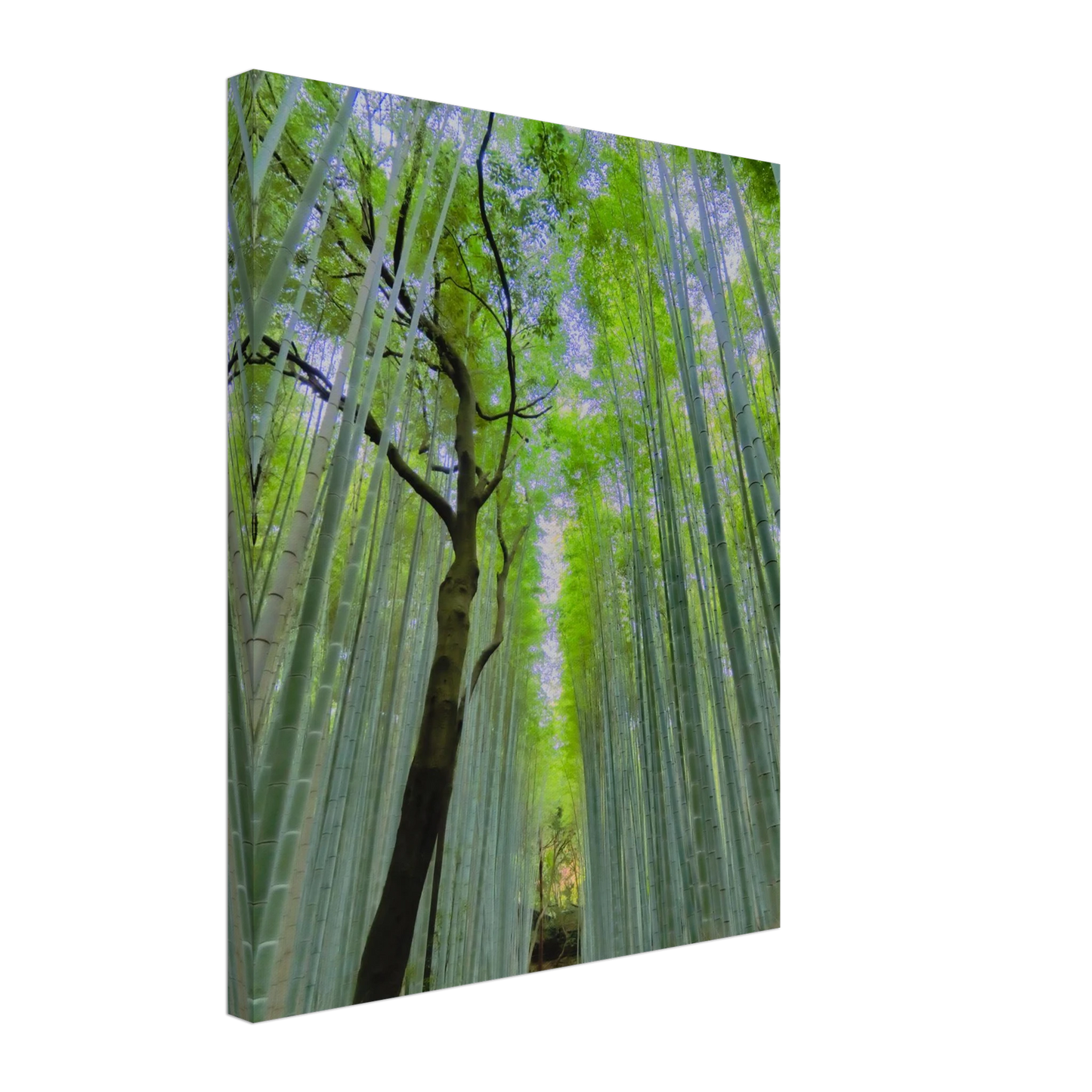 31ccb609-ad2d-4cb3-9733-0aa05ca5c33a