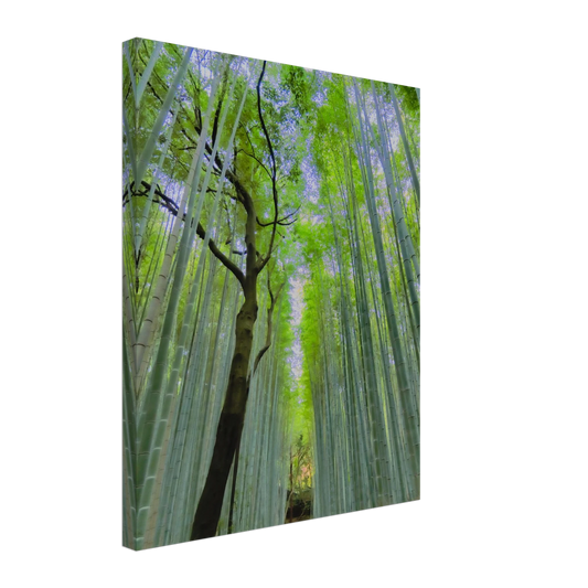 31ccb609-ad2d-4cb3-9733-0aa05ca5c33a