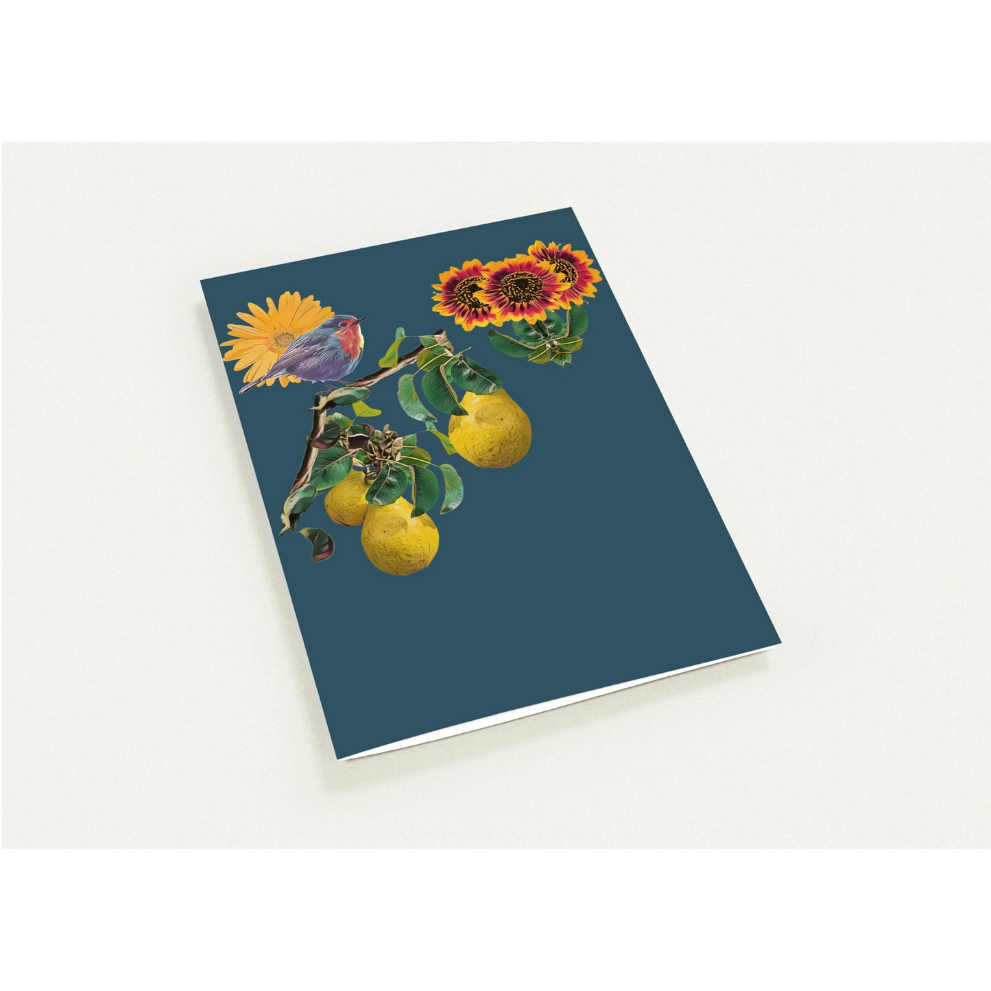 robin-pear-sunflower-themed-greeting-cards-pack-of-10-premium-folded-cards - front view