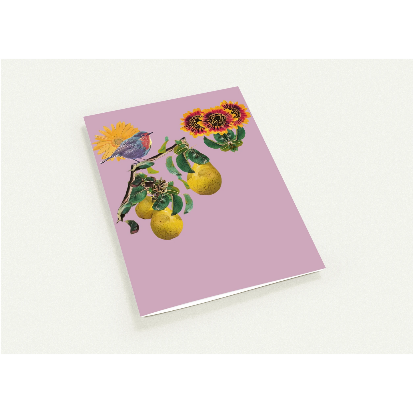 robin-pear-sunflower-themed-greeting-cards-pack-of-10-premium-folded-cards - front view