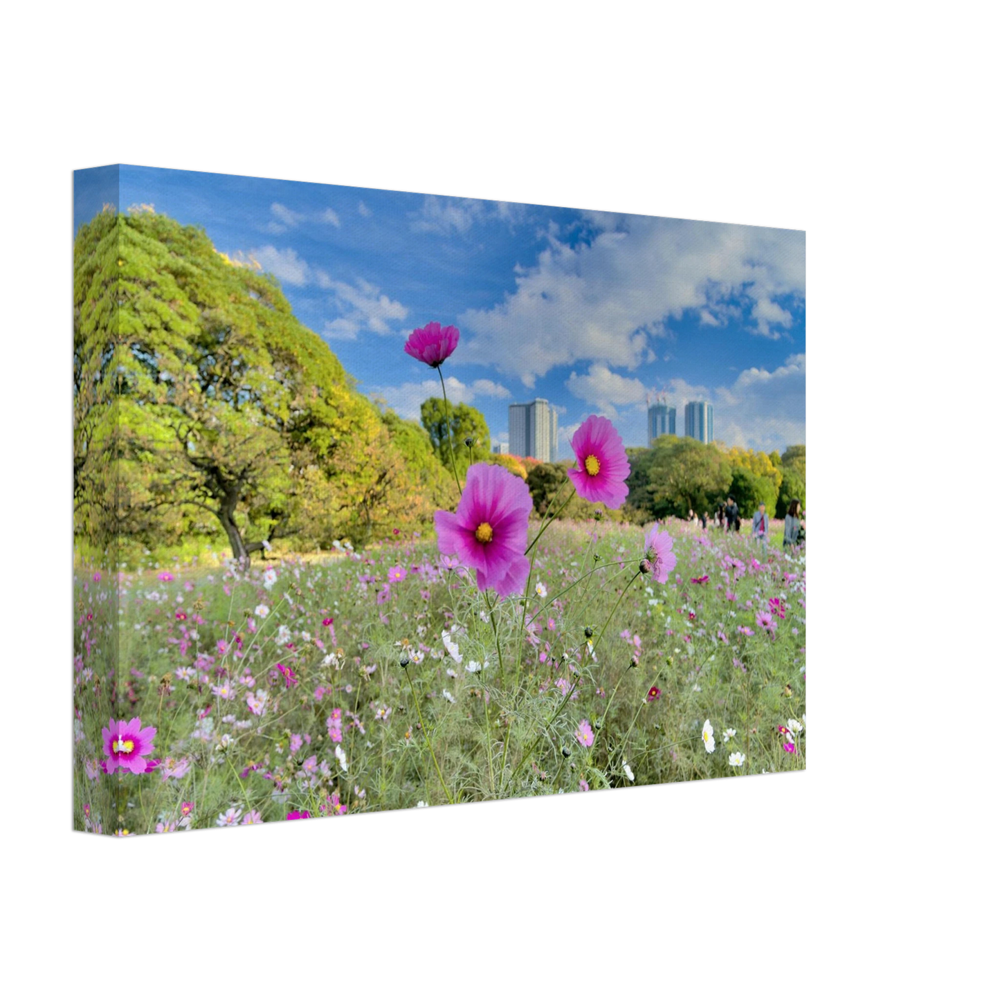 5eada48f-f27a-488d-a18f-49de15e89b3e