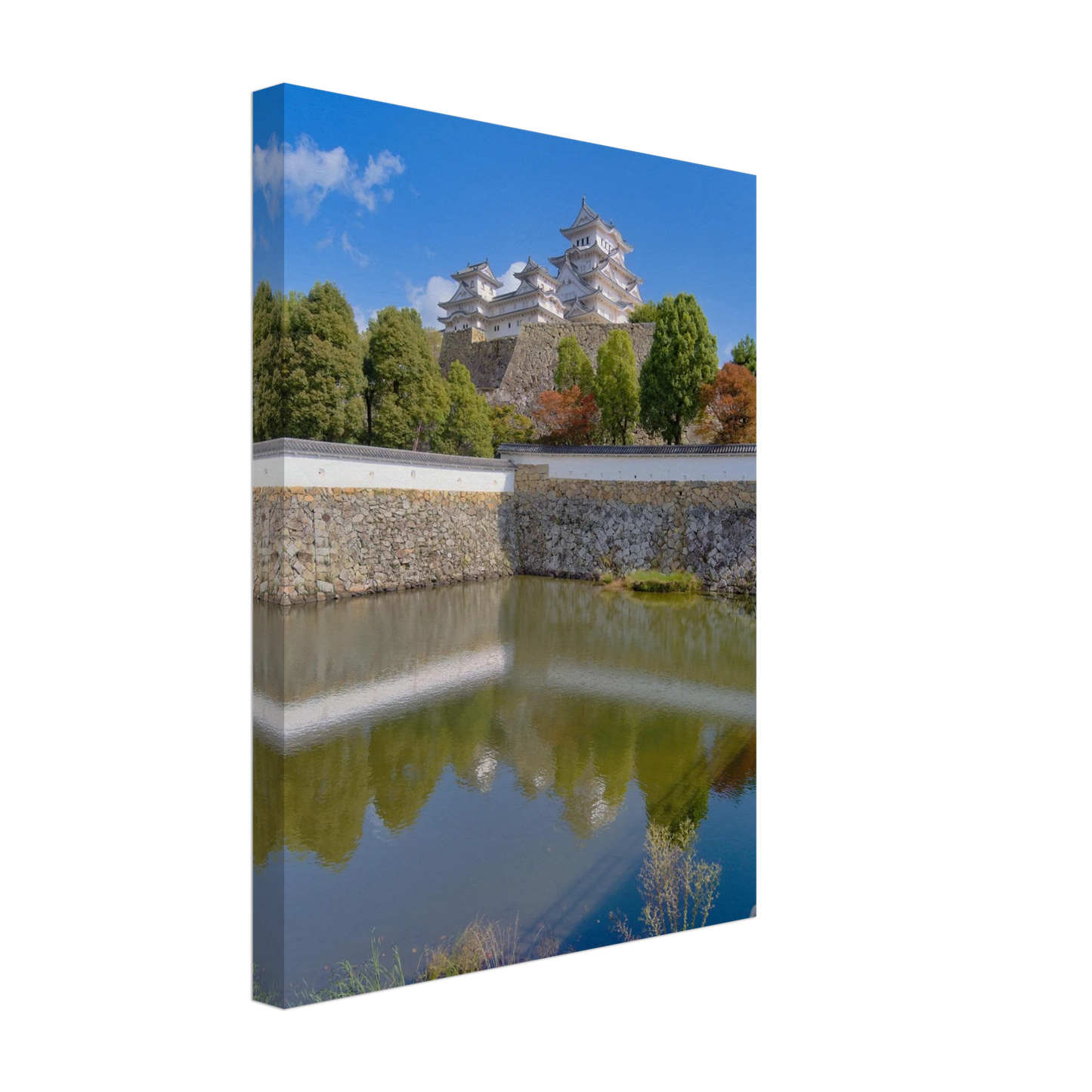 60128599-da9f-41cf-b3cd-2862730e9df7