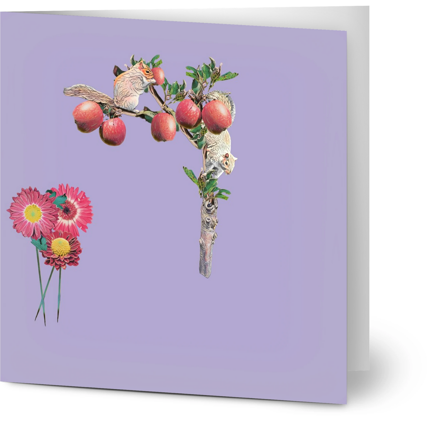 autumn-squirrel-and-apples-greeting-cards-pack-of-10-personalized-cards - front view