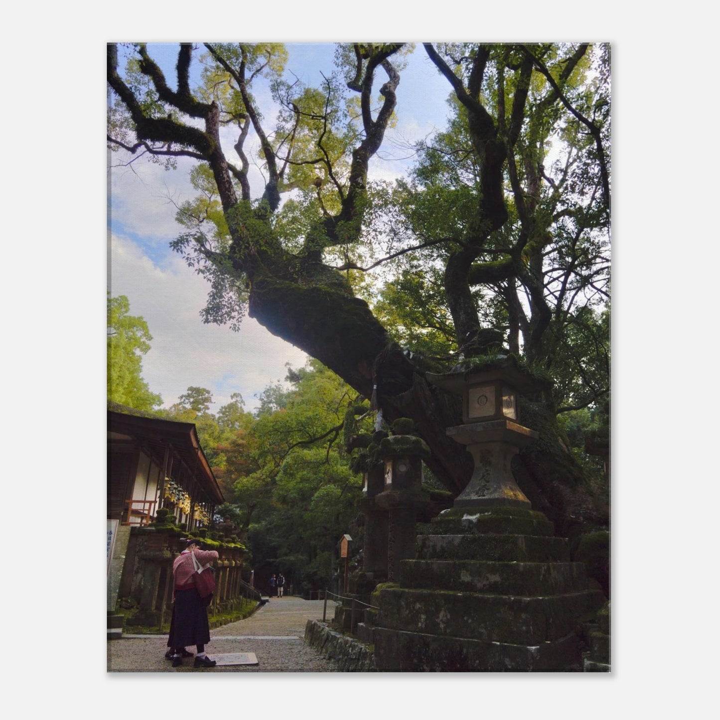 63530922-f5e8-45f9-9c1b-ee9b364e4ffe