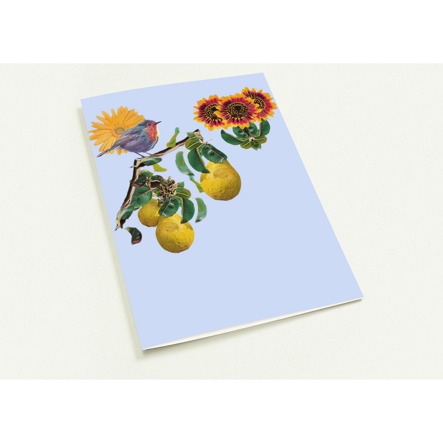 robin-pear-sunflower-themed-greeting-cards-pack-of-10-premium-folded-cards - front view