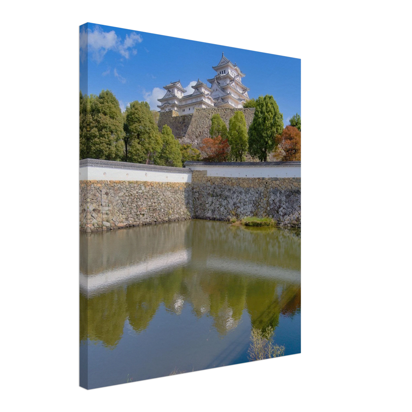 6905f9db-8095-4f6a-92b3-8acfc9a87722