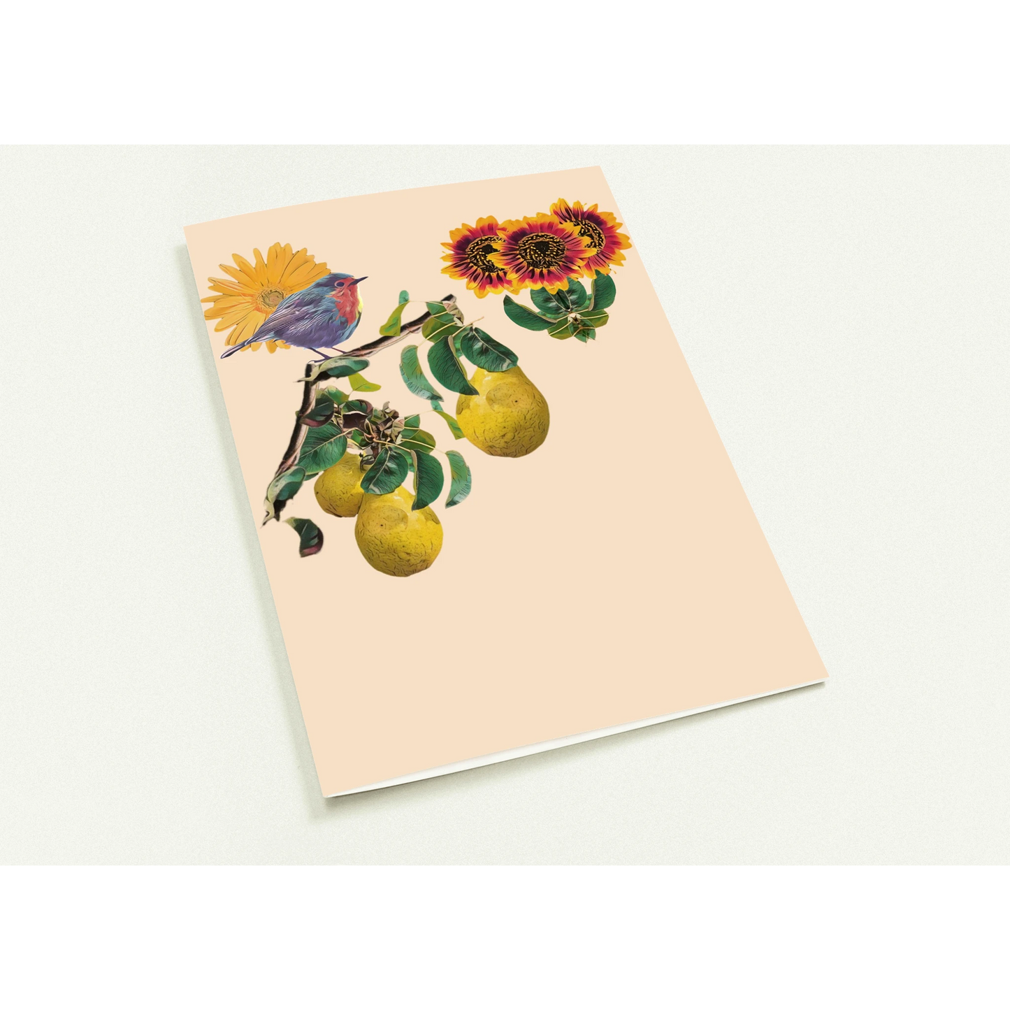 robin-pear-sunflower-themed-greeting-cards-pack-of-10-premium-folded-cards - front view