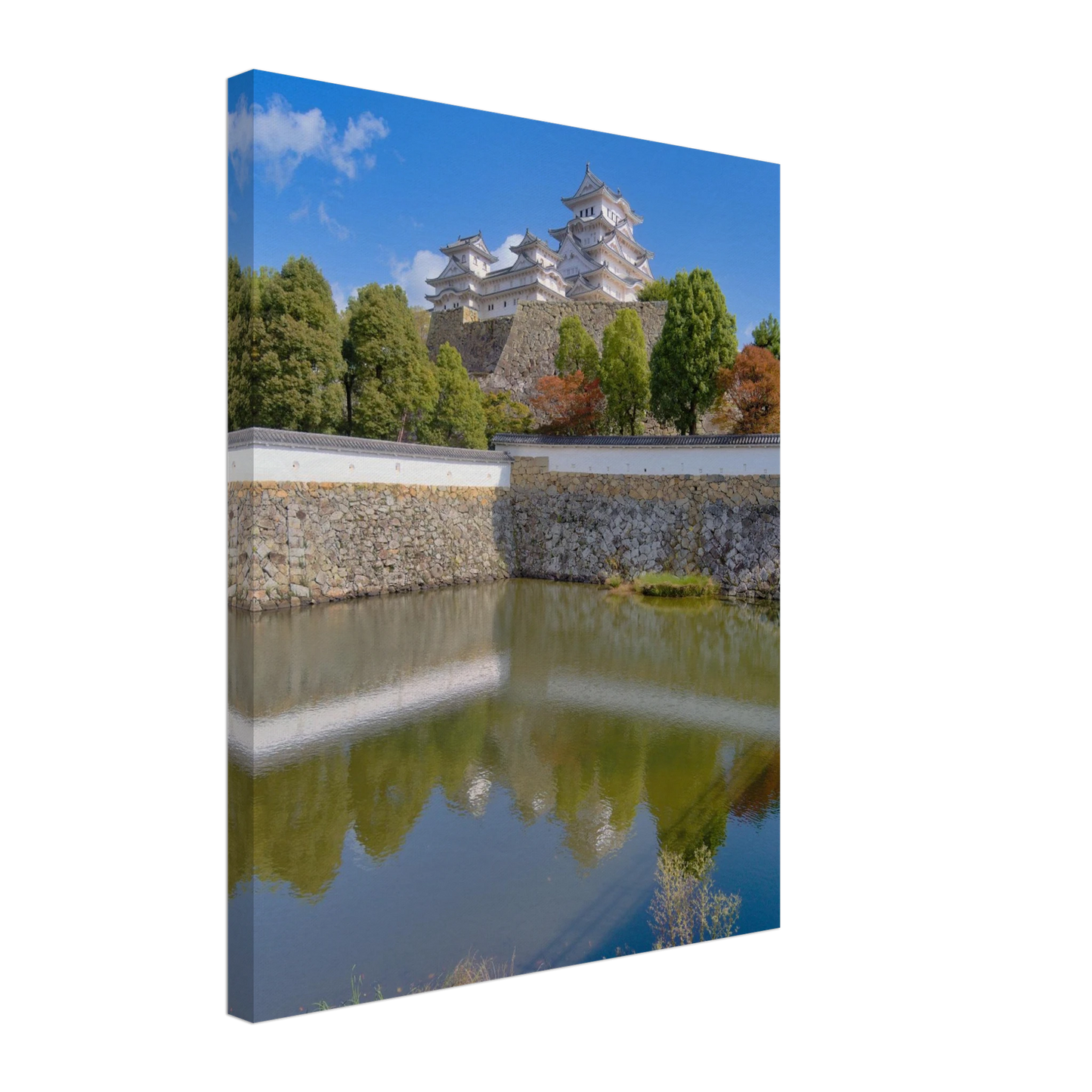 72fb7ca9-80dd-4d45-ac6d-98e4ae44283c