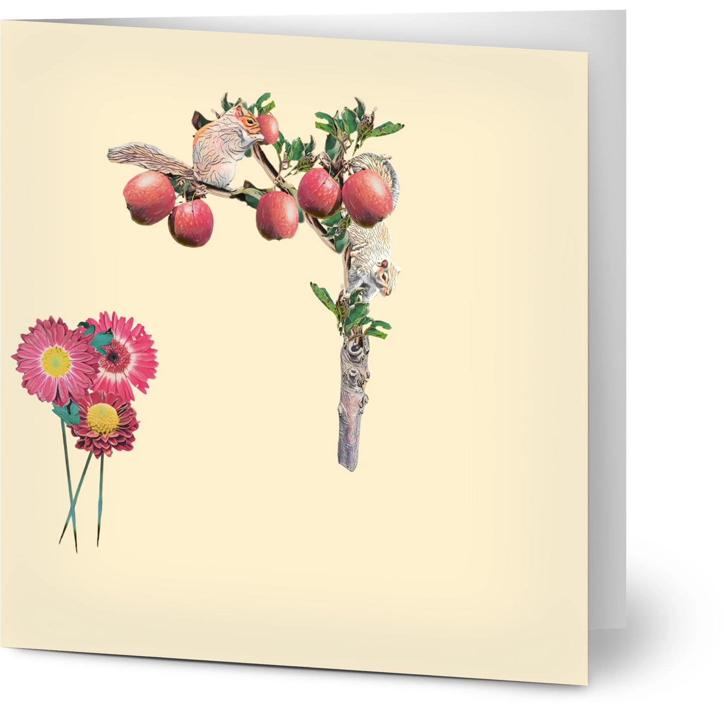 autumn-squirrel-and-apples-greeting-cards-pack-of-10-personalized-cards - front view