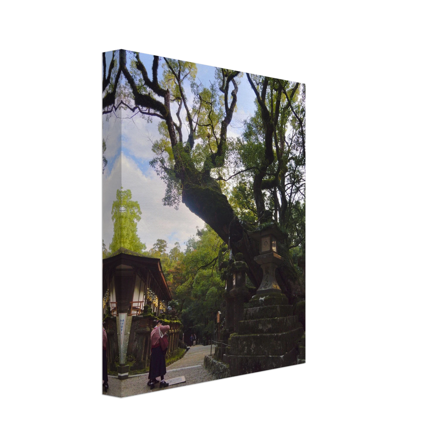 78100f93-4df7-4ec6-bc0e-2476479505dc