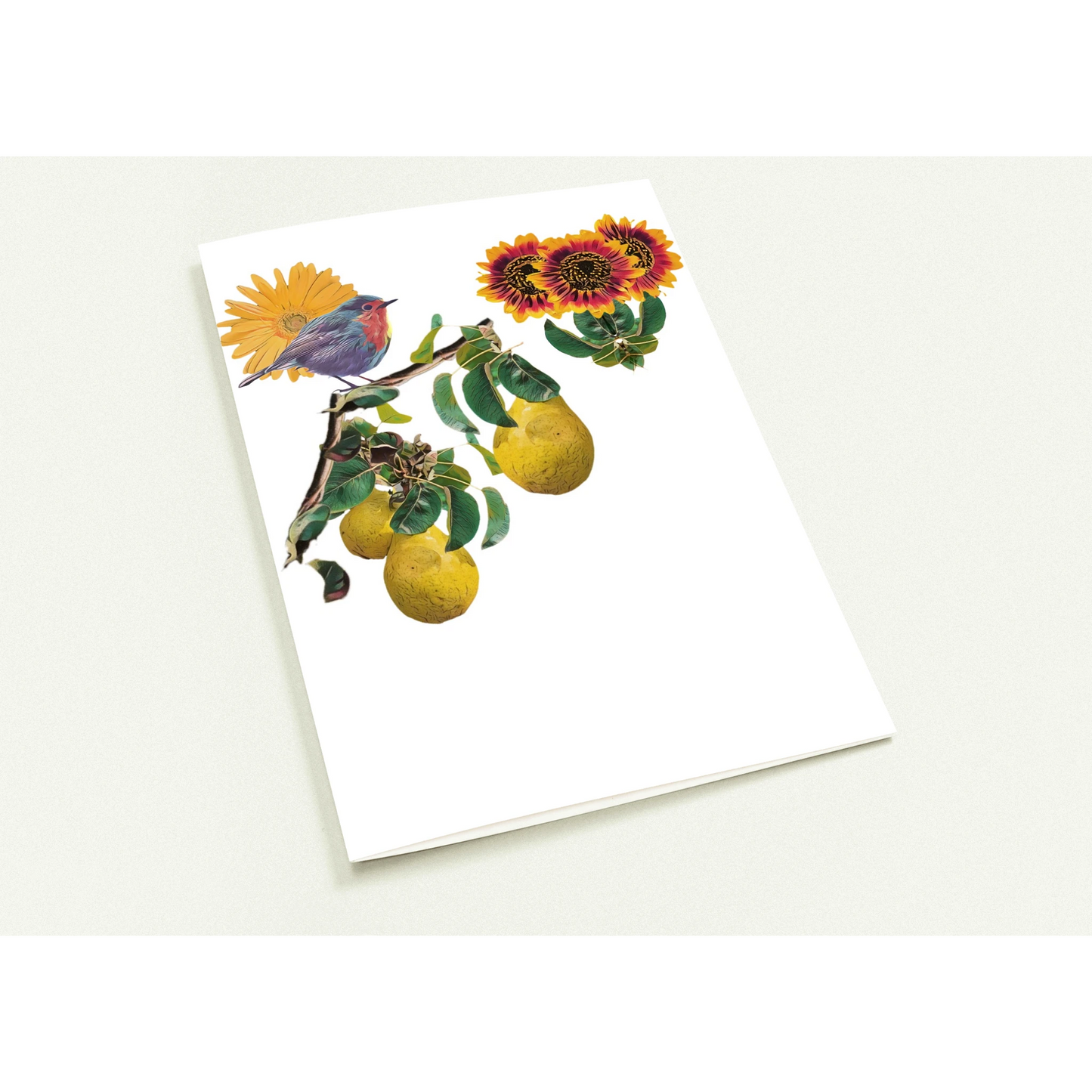 robin-pear-sunflower-themed-greeting-cards-pack-of-10-premium-folded-cards - front view