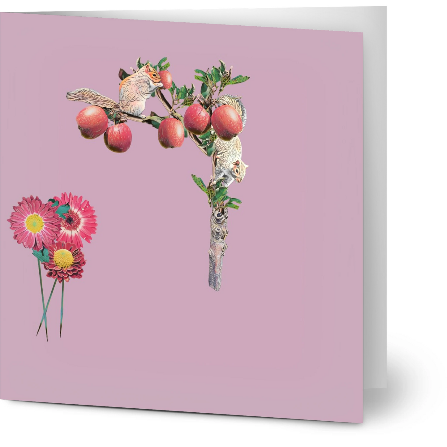 autumn-squirrel-and-apples-greeting-cards-pack-of-10-personalized-cards - front view