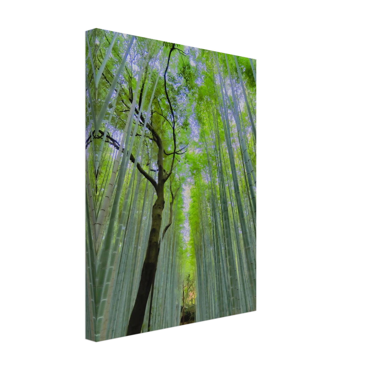 85ac501e-4e7e-440d-8243-15a3473e58e7