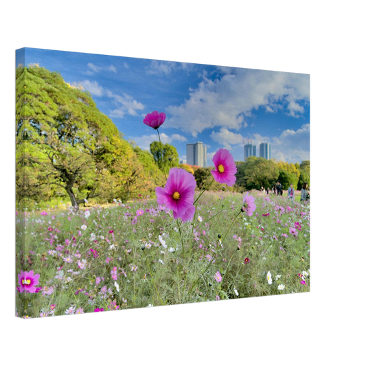 8a71a291-f068-4d30-9880-6c30ee921465