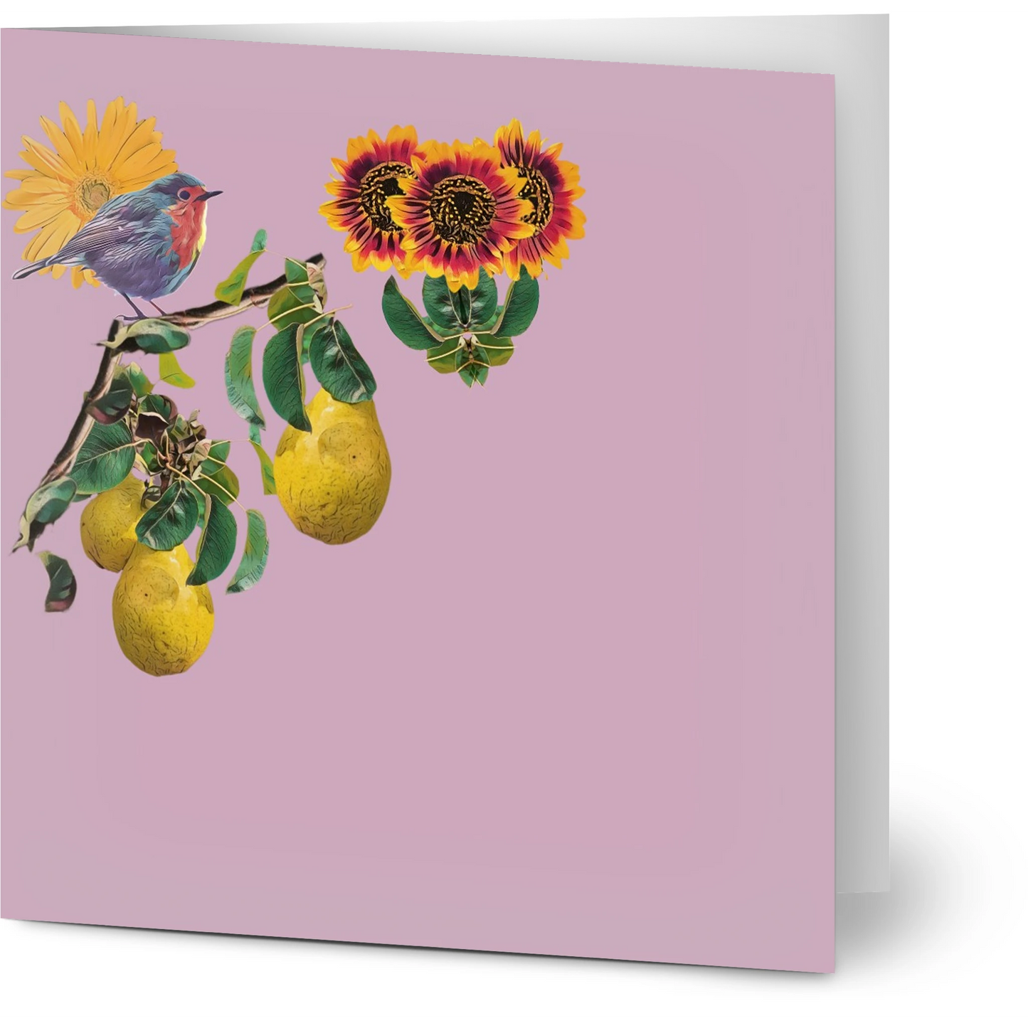 robin-pear-sunflower-themed-greeting-cards-pack-of-10-premium-folded-cards - front view