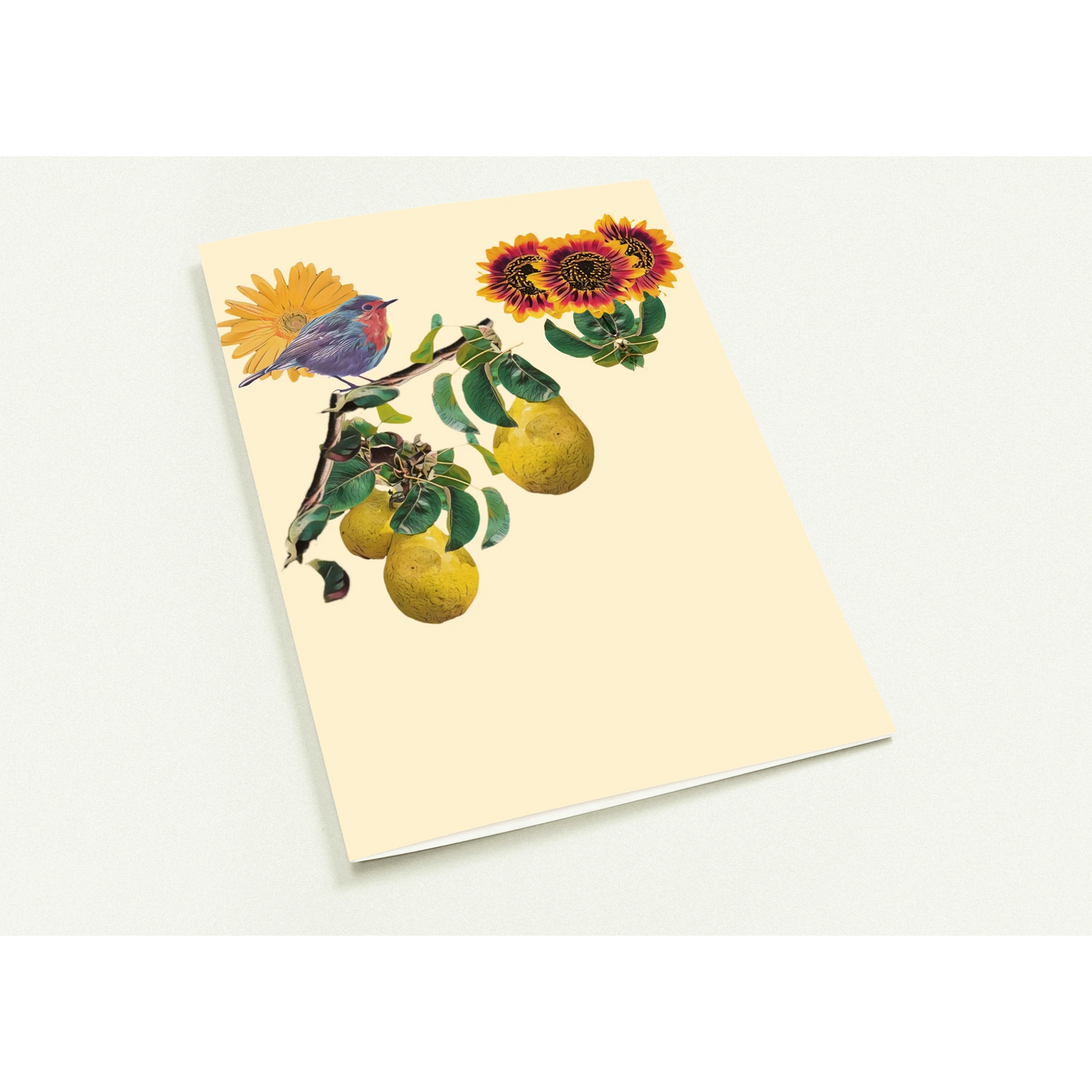 robin-pear-sunflower-themed-greeting-cards-pack-of-10-premium-folded-cards - front view