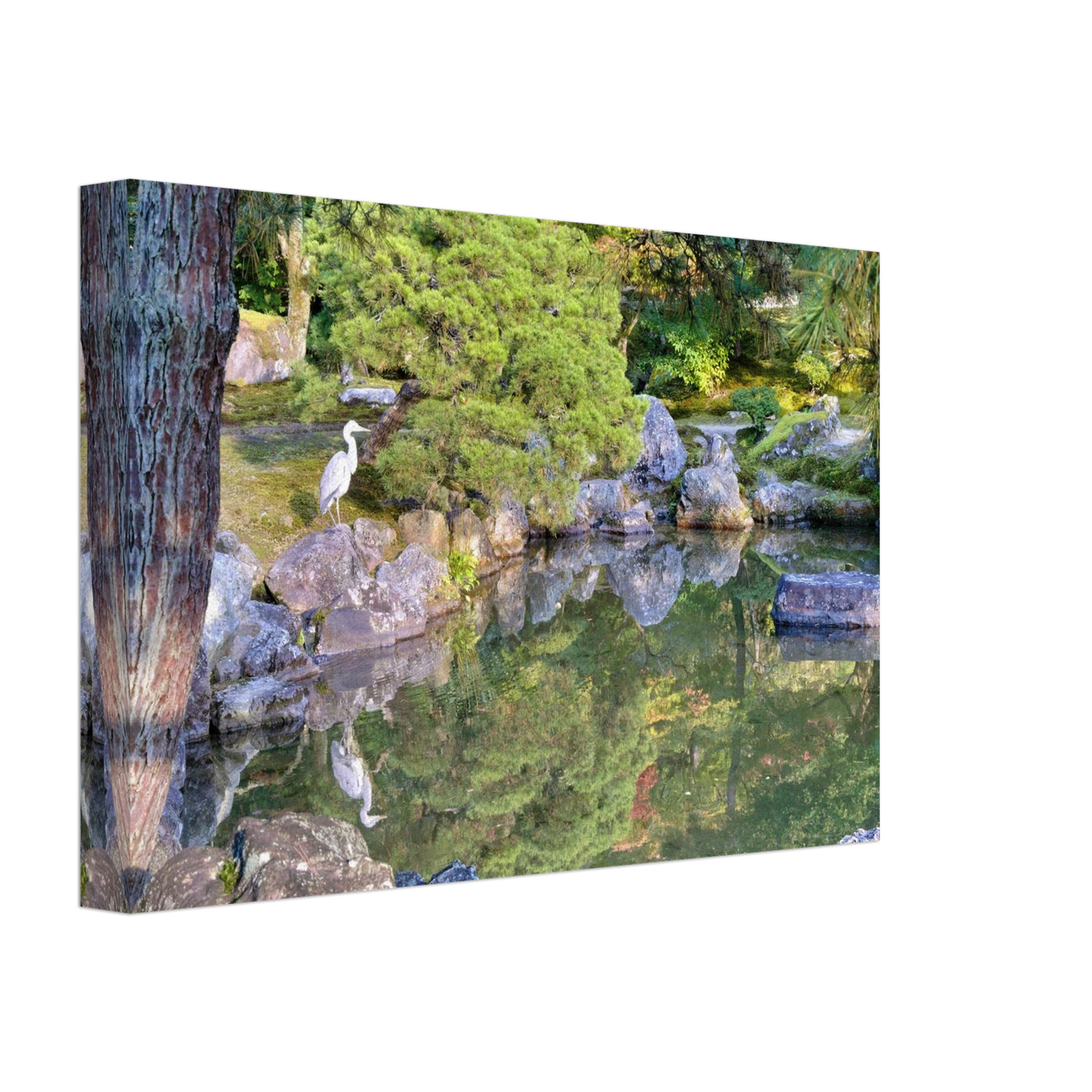 91b032ed-f2c9-4c91-81e8-ebdcd766a9e1