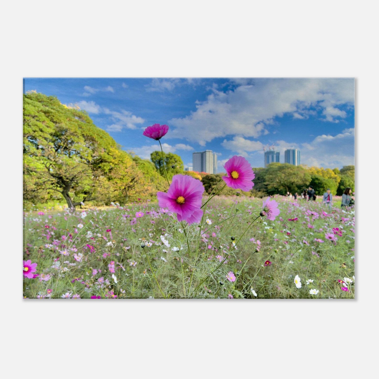 931668bb-f619-48c6-b3d5-56d60a410554