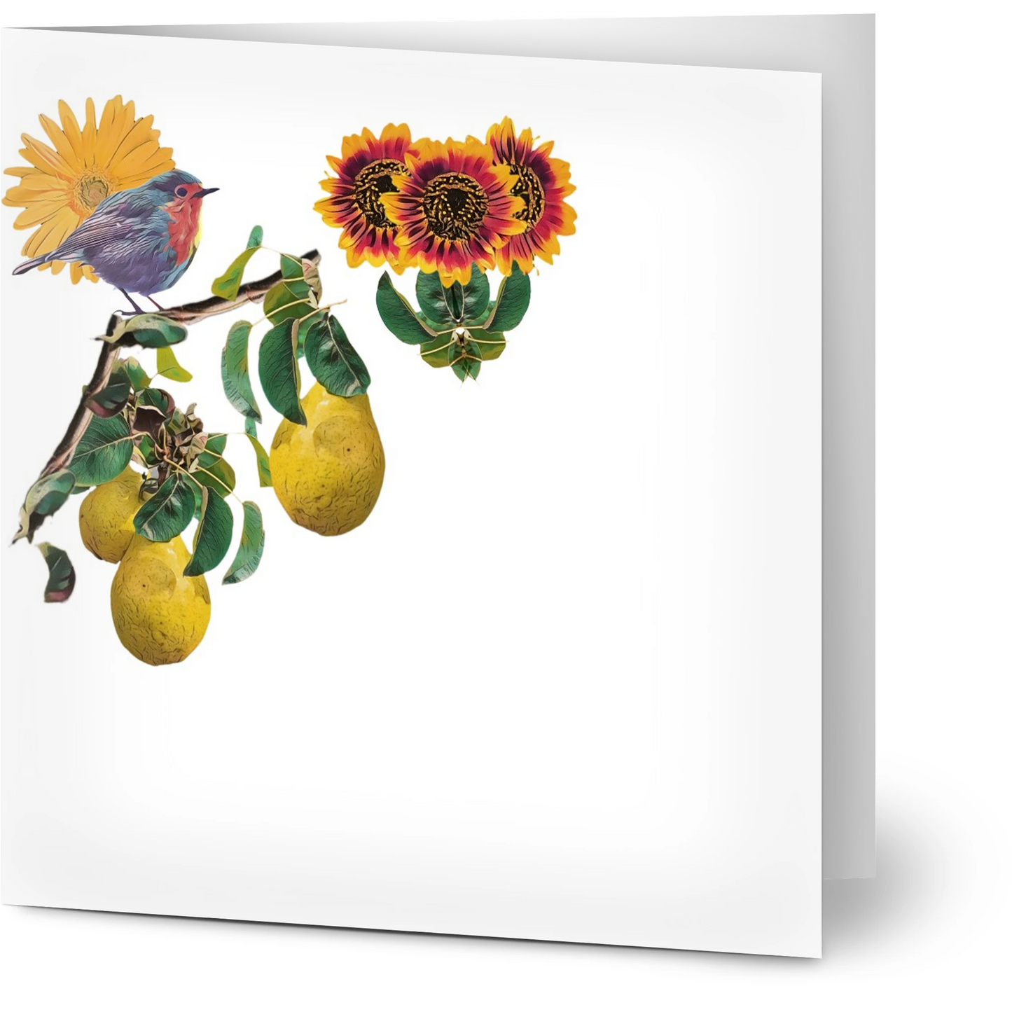 robin-pear-sunflower-themed-greeting-cards-pack-of-10-premium-folded-cards - front view