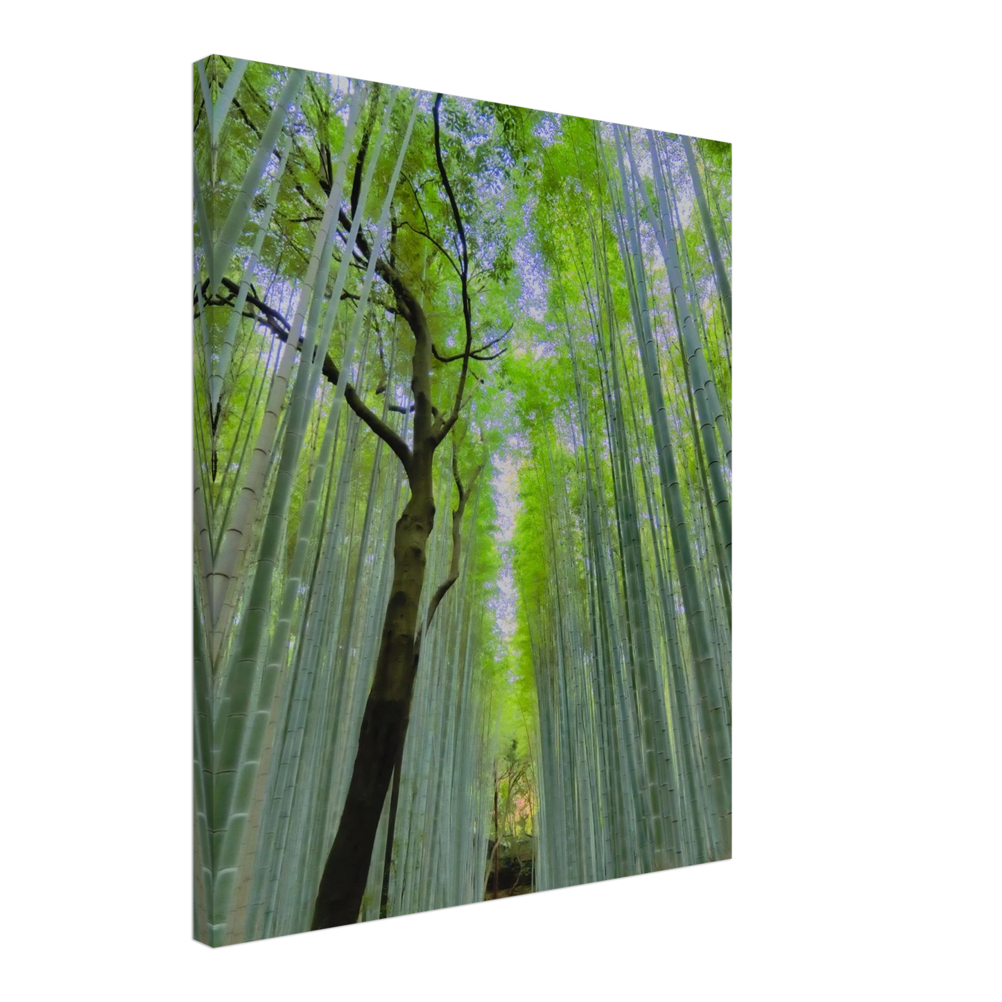 95e76a3c-a59f-4d86-b0fc-e9125757b488