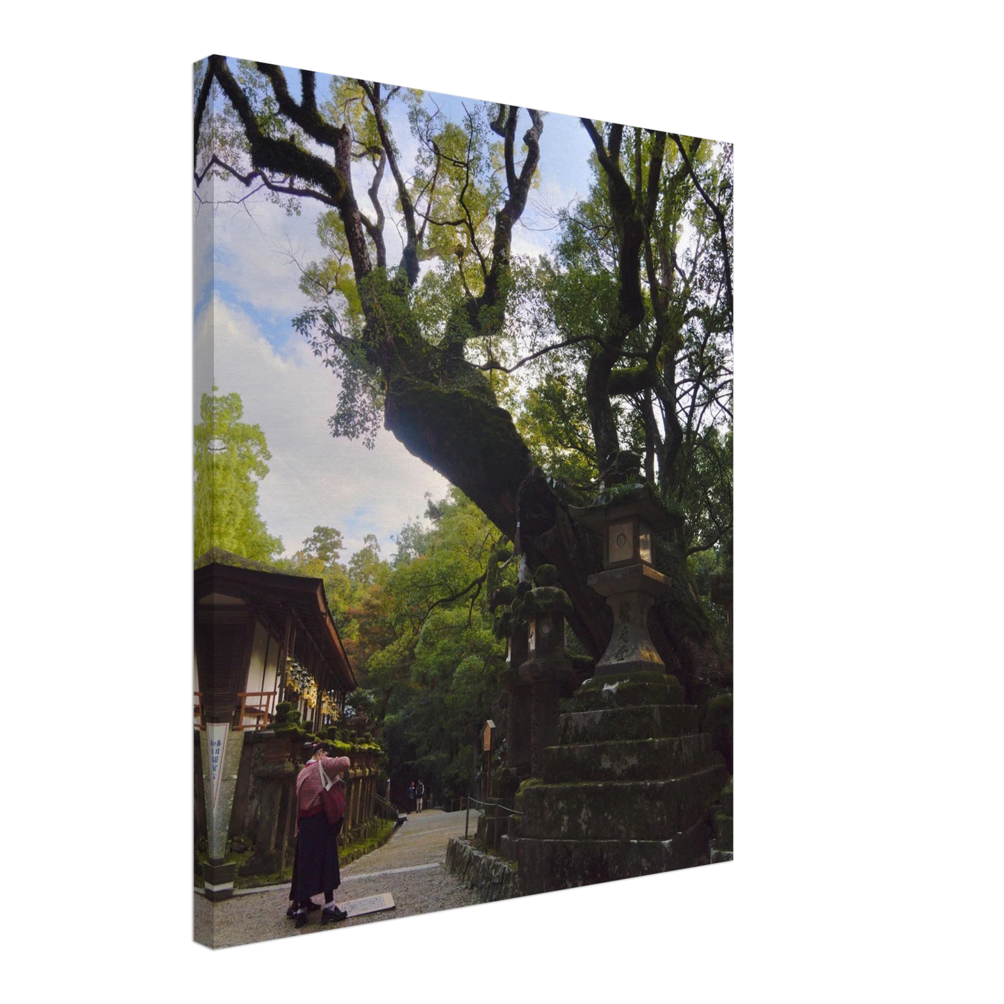 97bbaa7c-438a-46f3-9919-3f084e2a9e82