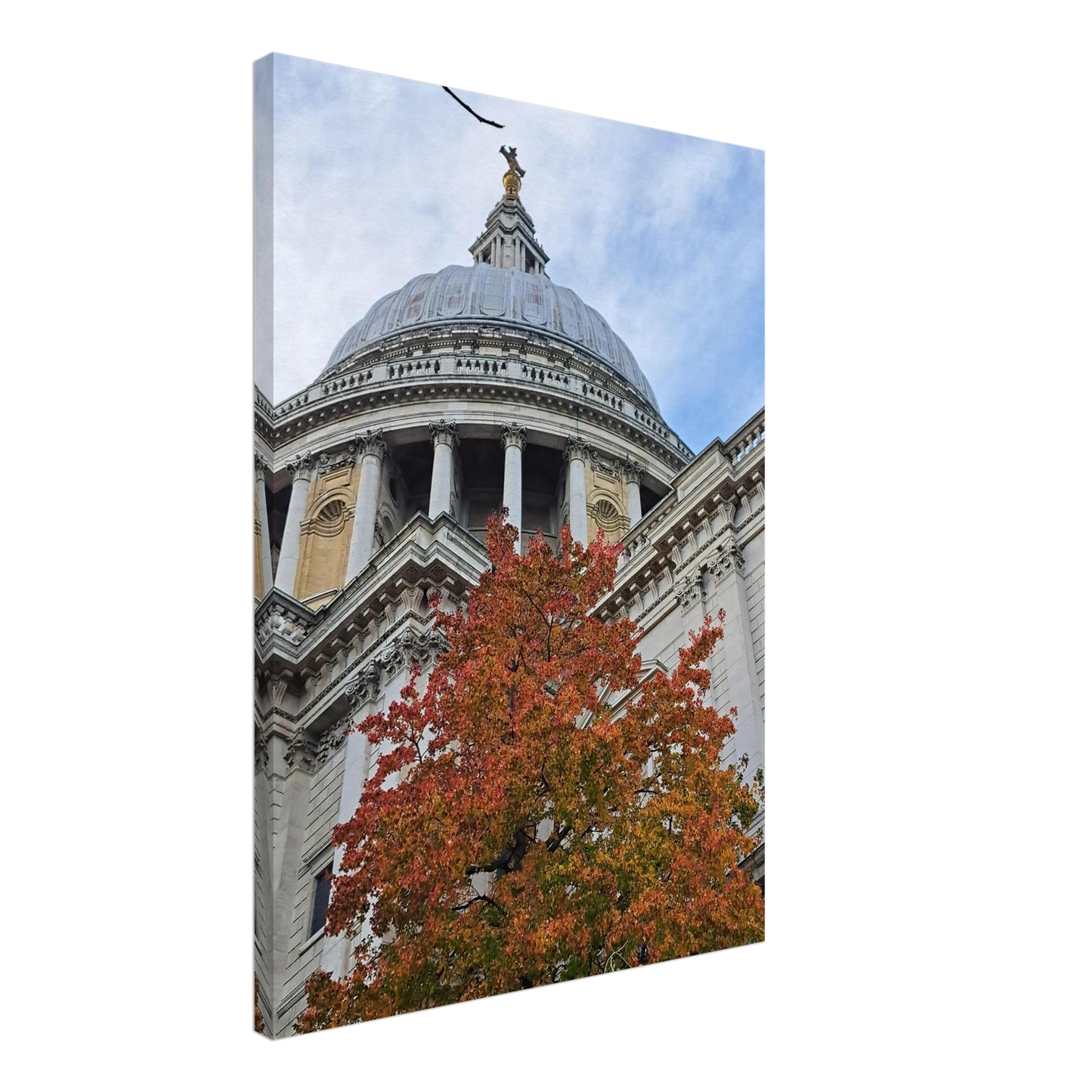 99fd5e8d-7069-439d-9707-261290b450e7