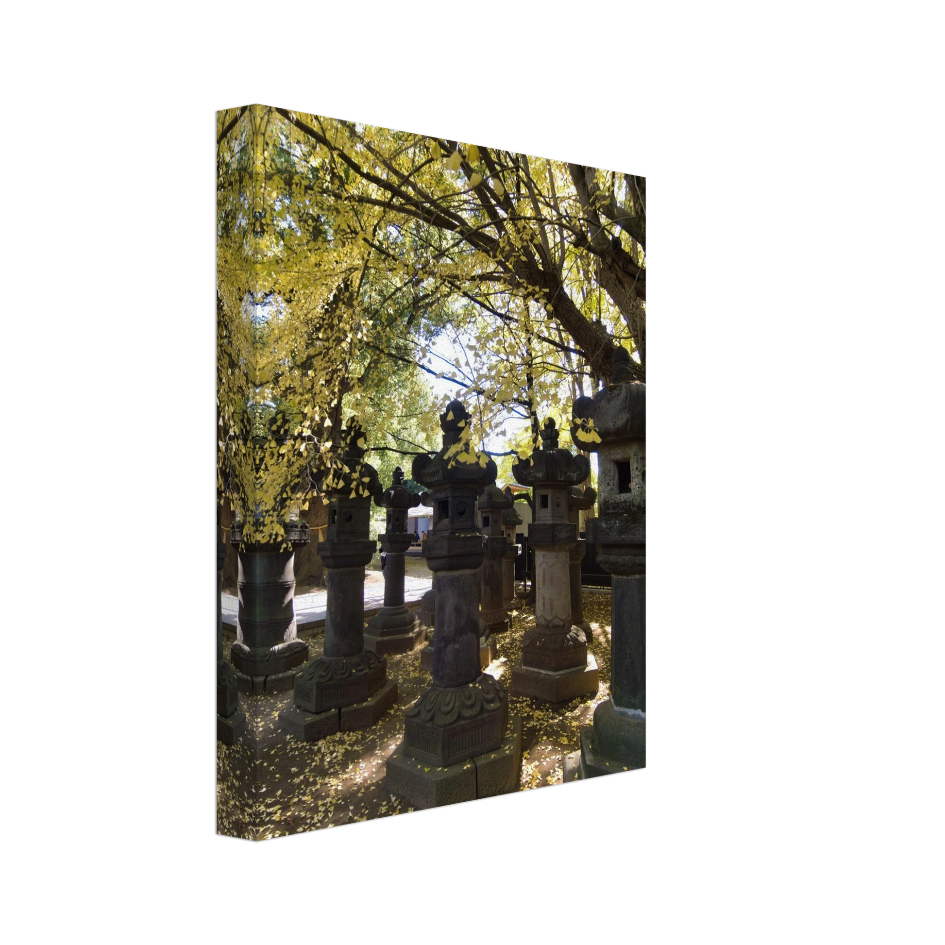 9b2ddd6c-c54c-49f5-8102-527d88f4cd23