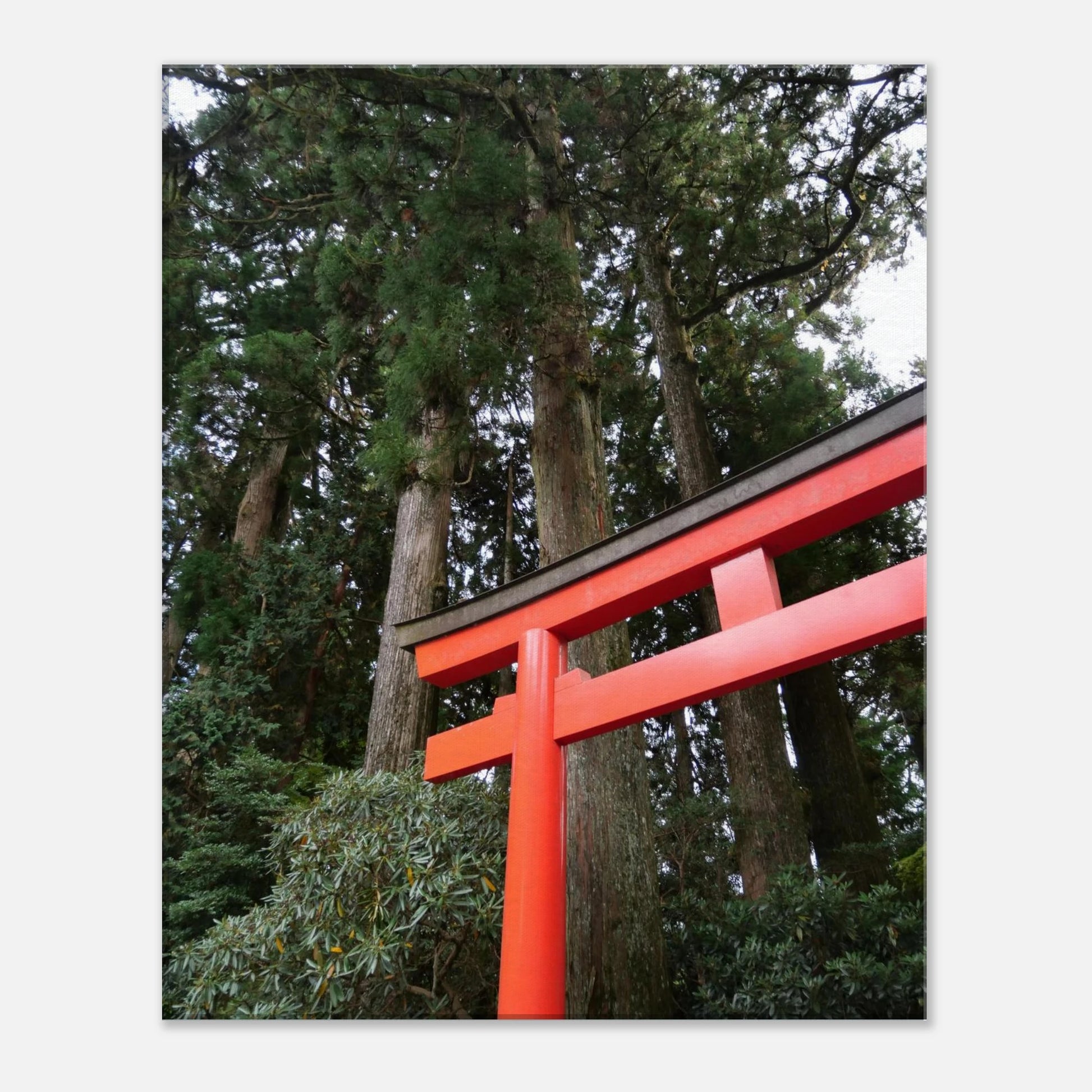 a0b4f012-23d6-4019-a0ea-8d01a1feeb61