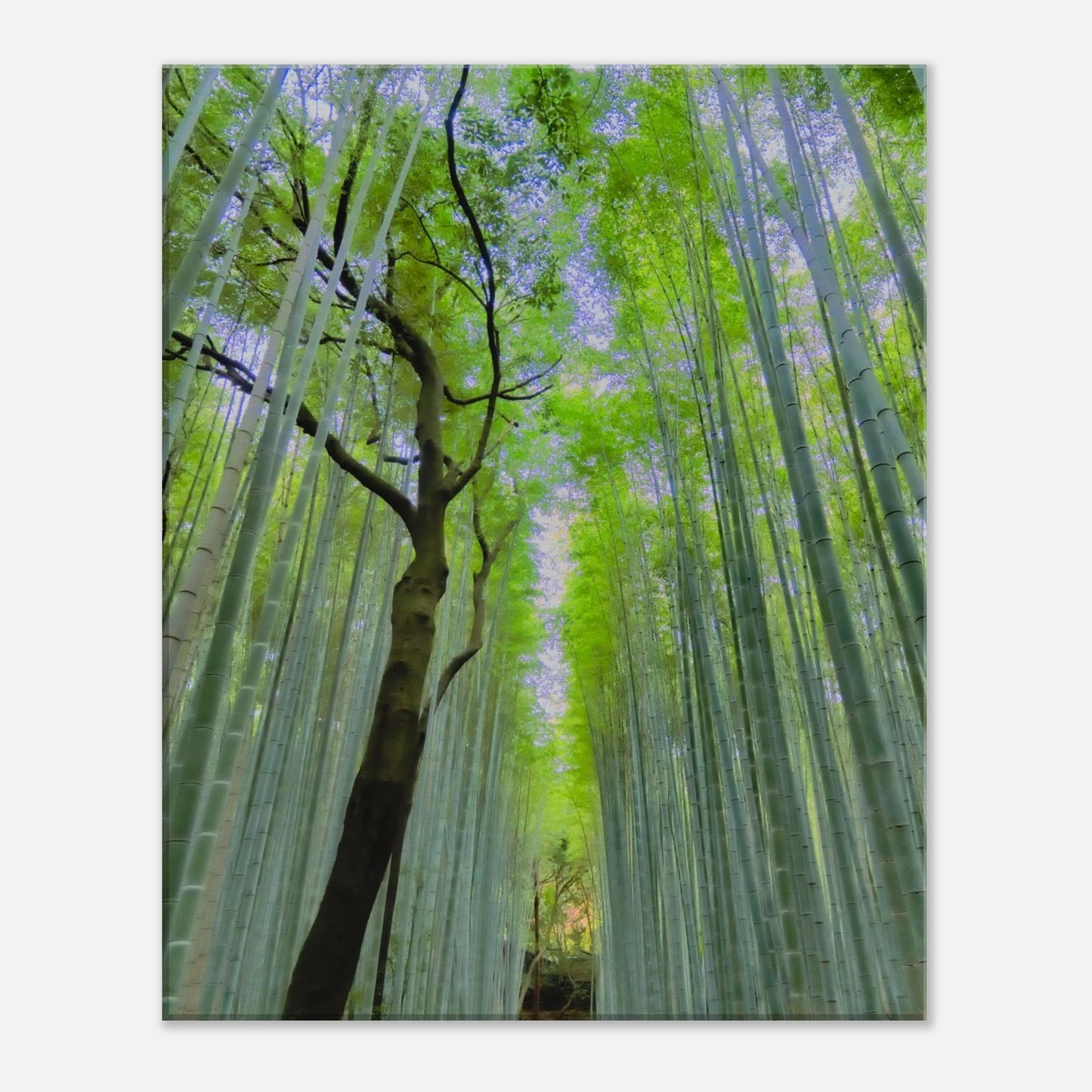 a2b2e3a9-f32c-4f76-8539-a6159c6a7625