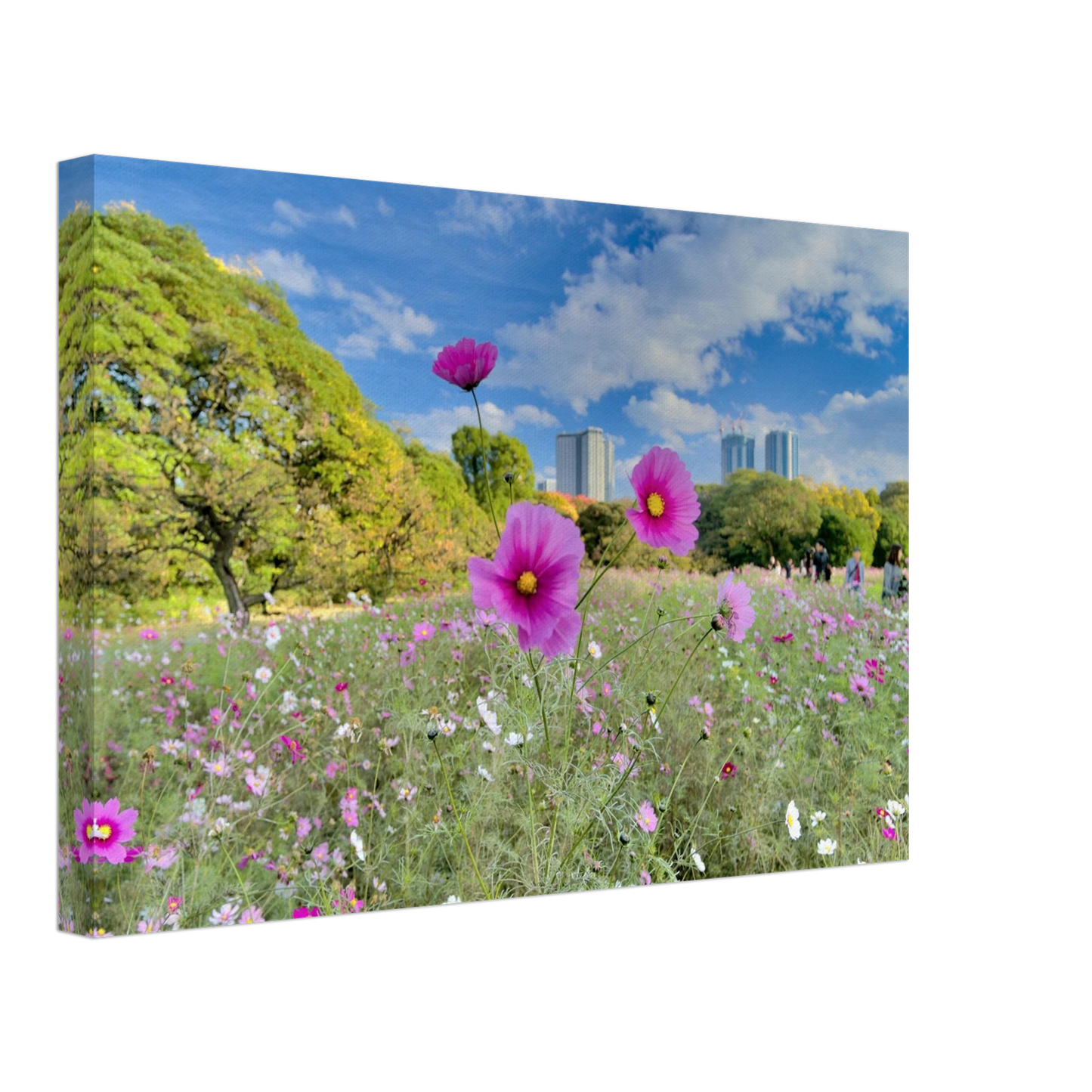 a3eaeecf-c5e0-42df-a95c-6d20d4c7ca3b