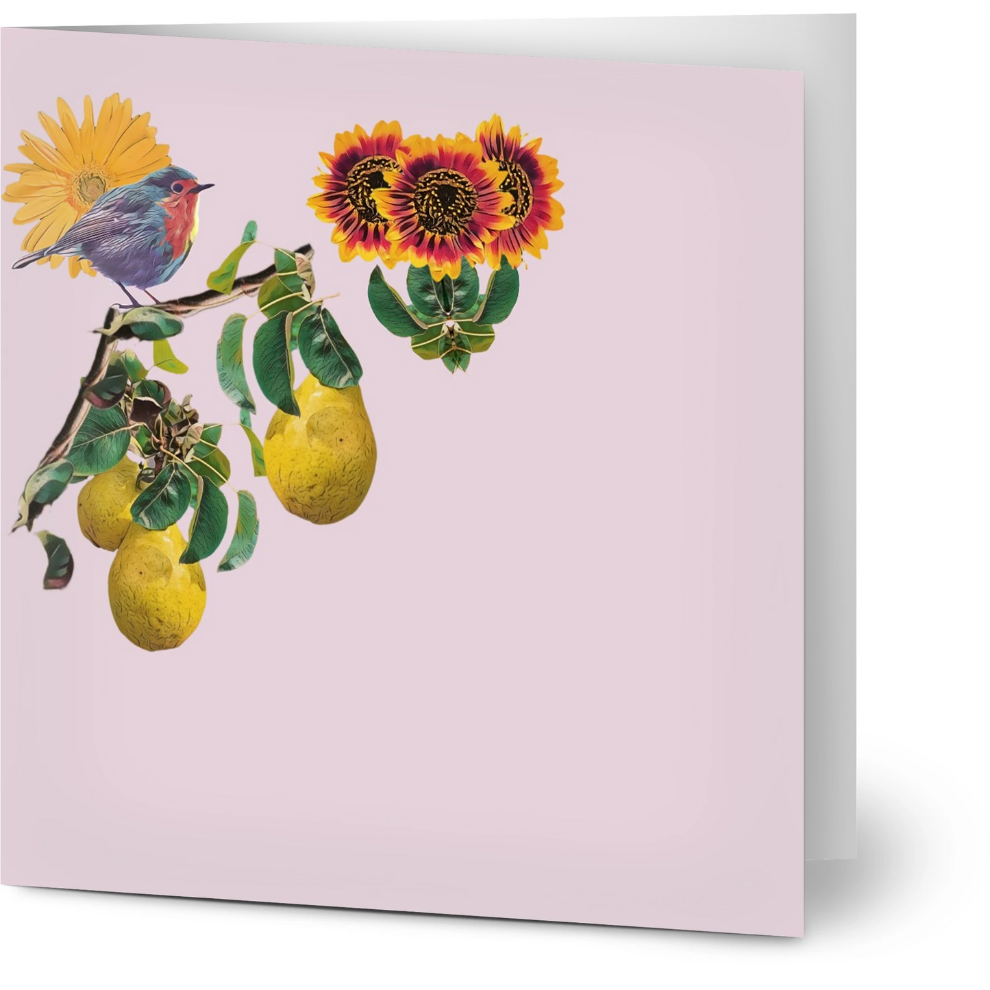 robin-pear-sunflower-themed-greeting-cards-pack-of-10-premium-folded-cards - front view