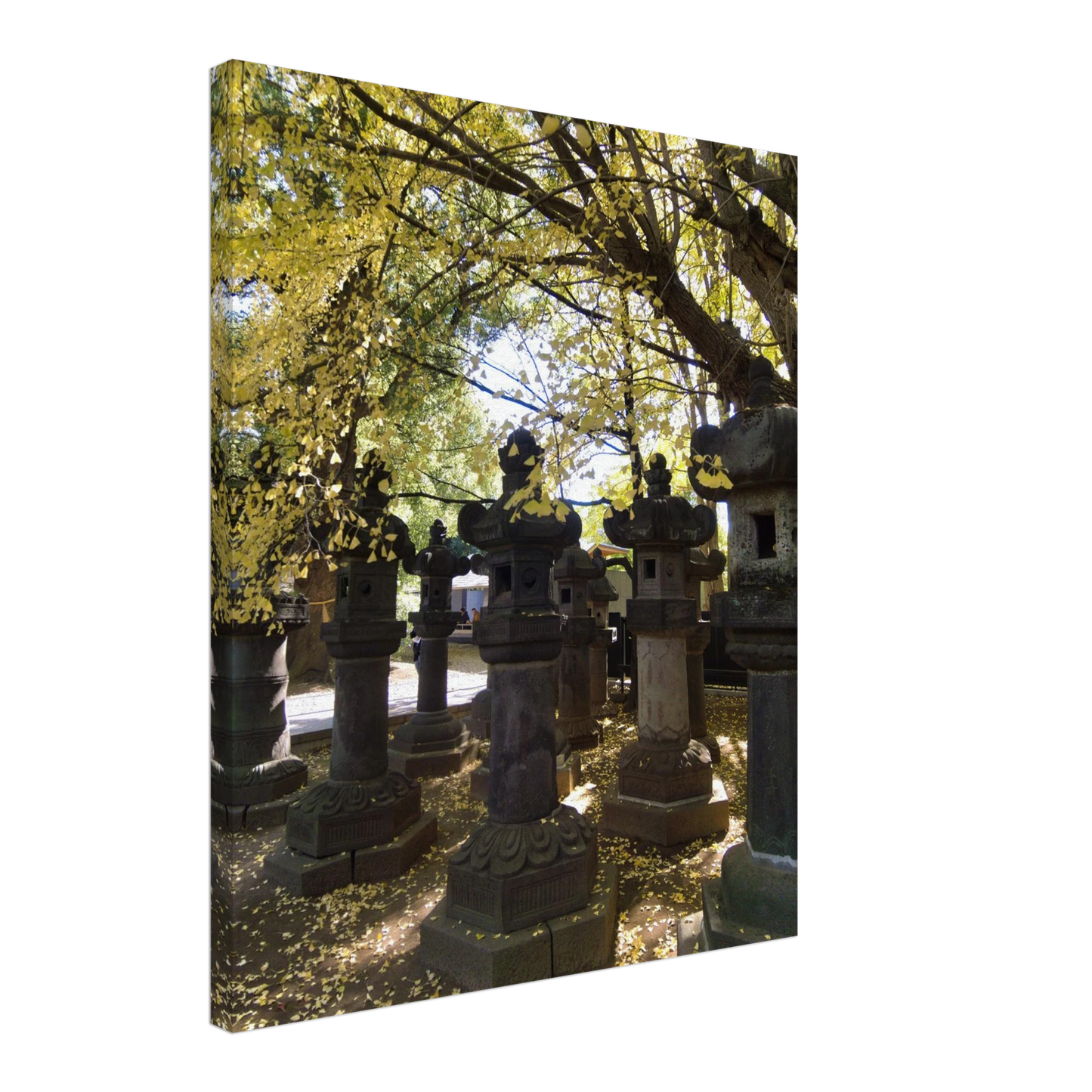 a5eef55d-27f7-4bb7-86f0-0b8898c5f373