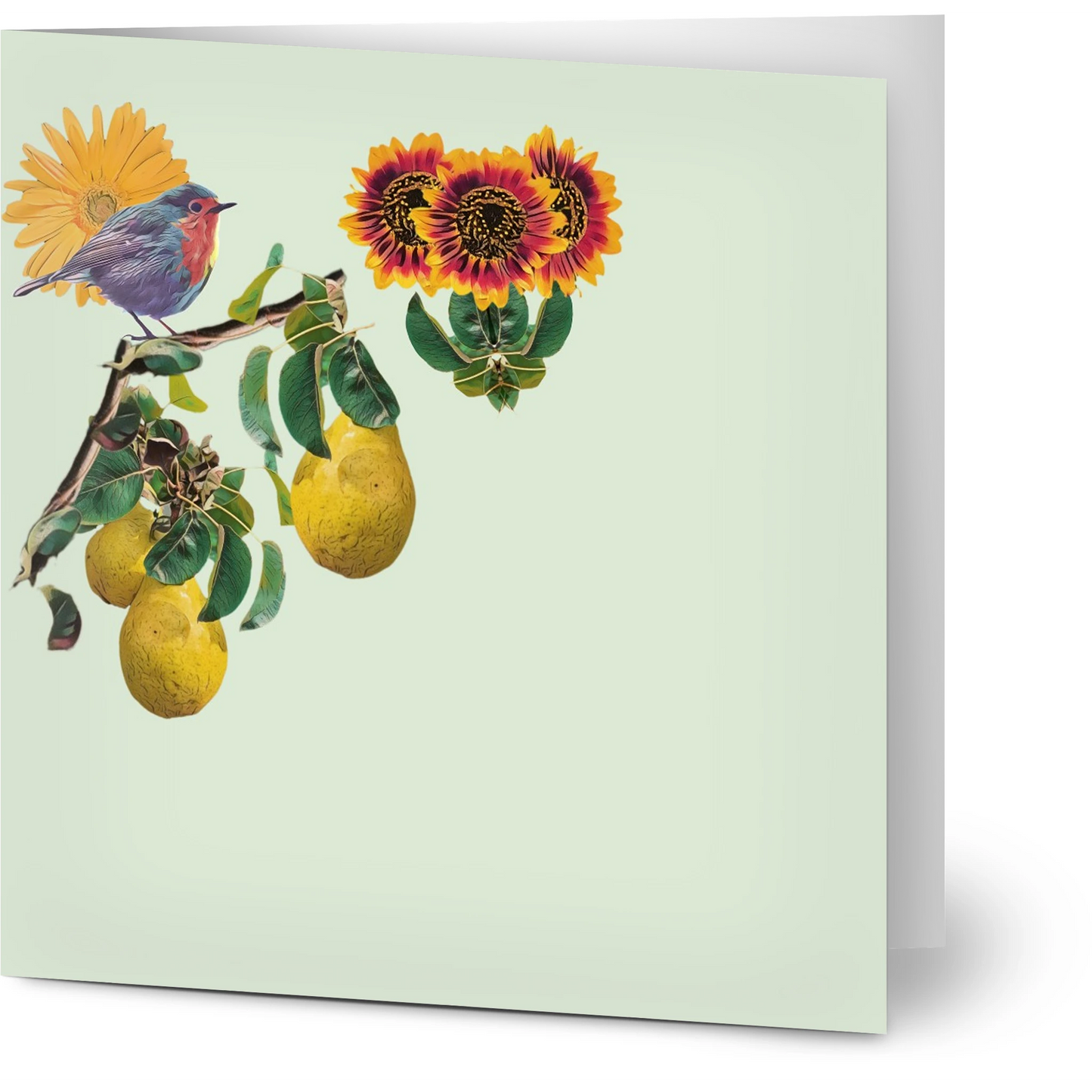 robin-pear-sunflower-themed-greeting-cards-pack-of-10-premium-folded-cards - front view