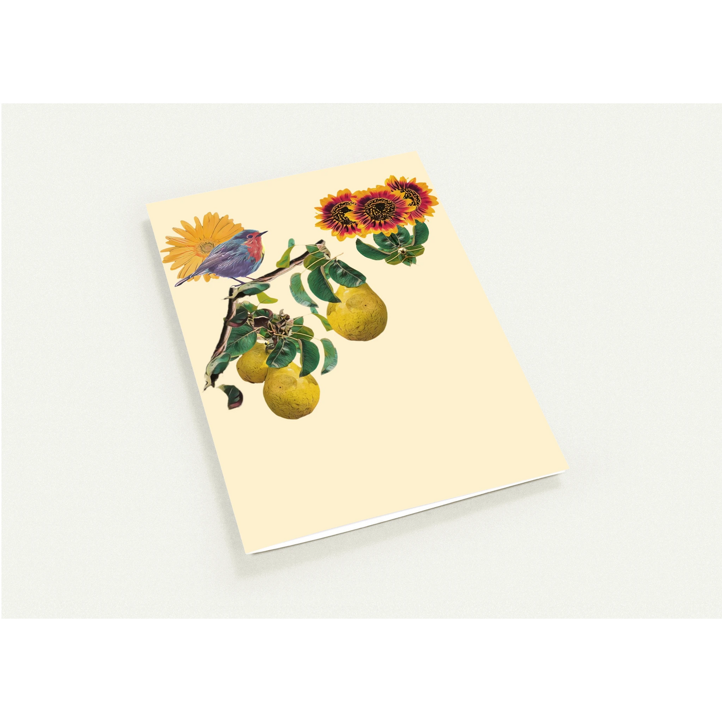 robin-pear-sunflower-themed-greeting-cards-pack-of-10-premium-folded-cards - front view