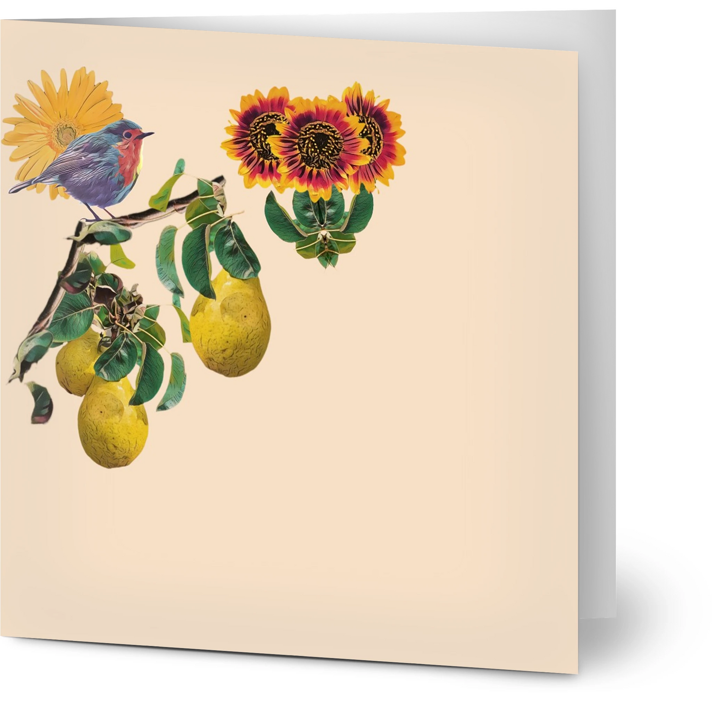 robin-pear-sunflower-themed-greeting-cards-pack-of-10-premium-folded-cards - front view